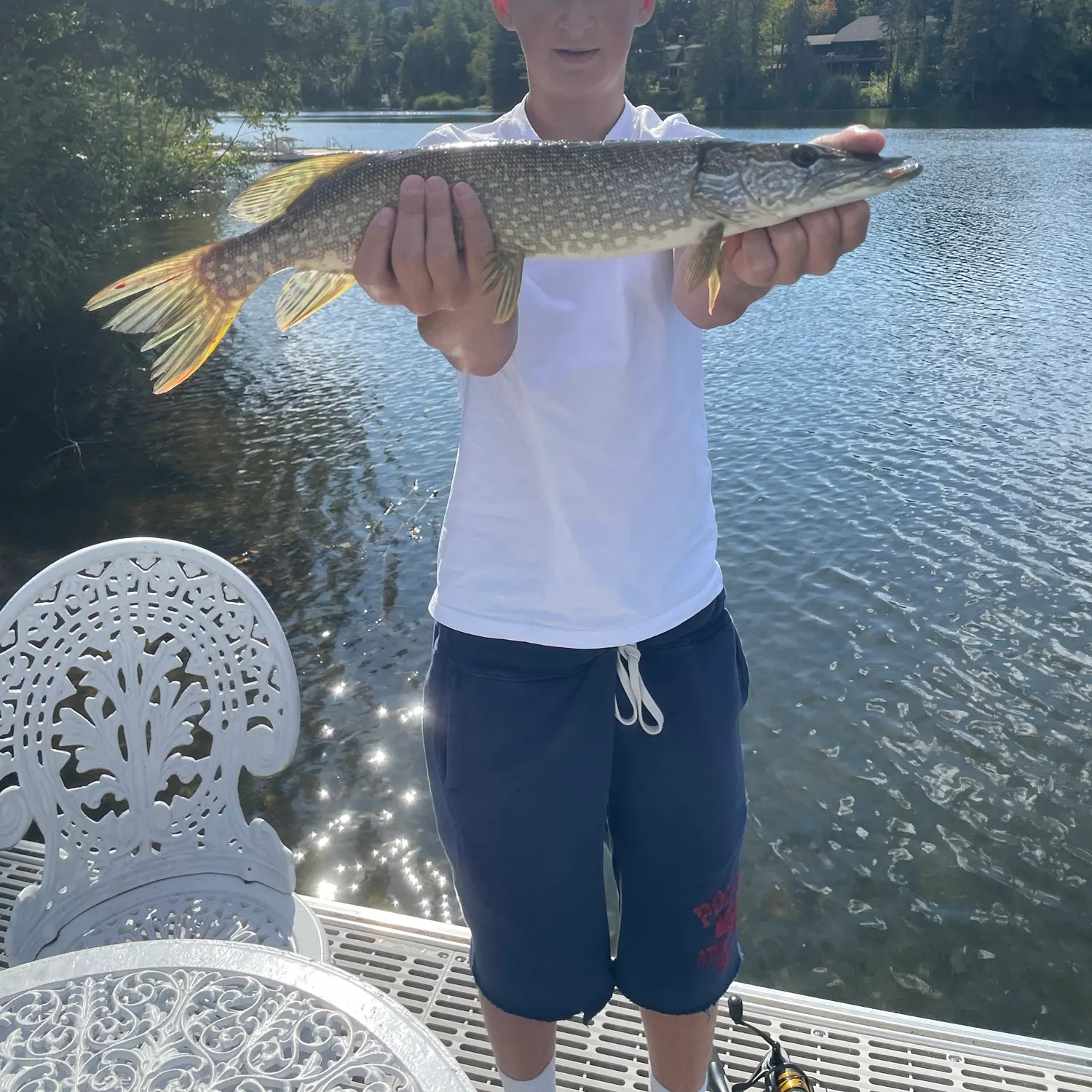 Northern pike caught on Fishbrain