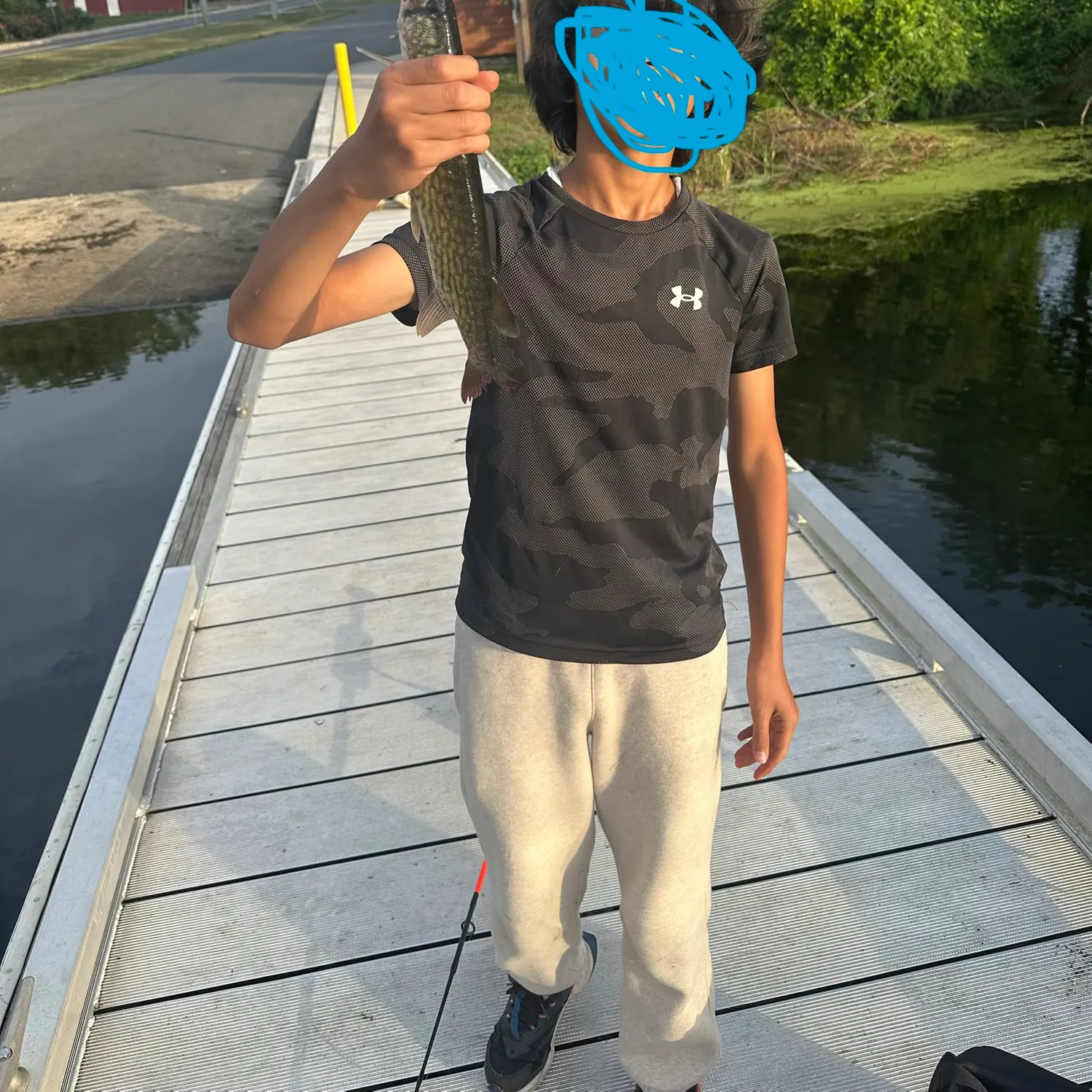 The most recent Chain pickerel catches on Fishbrain