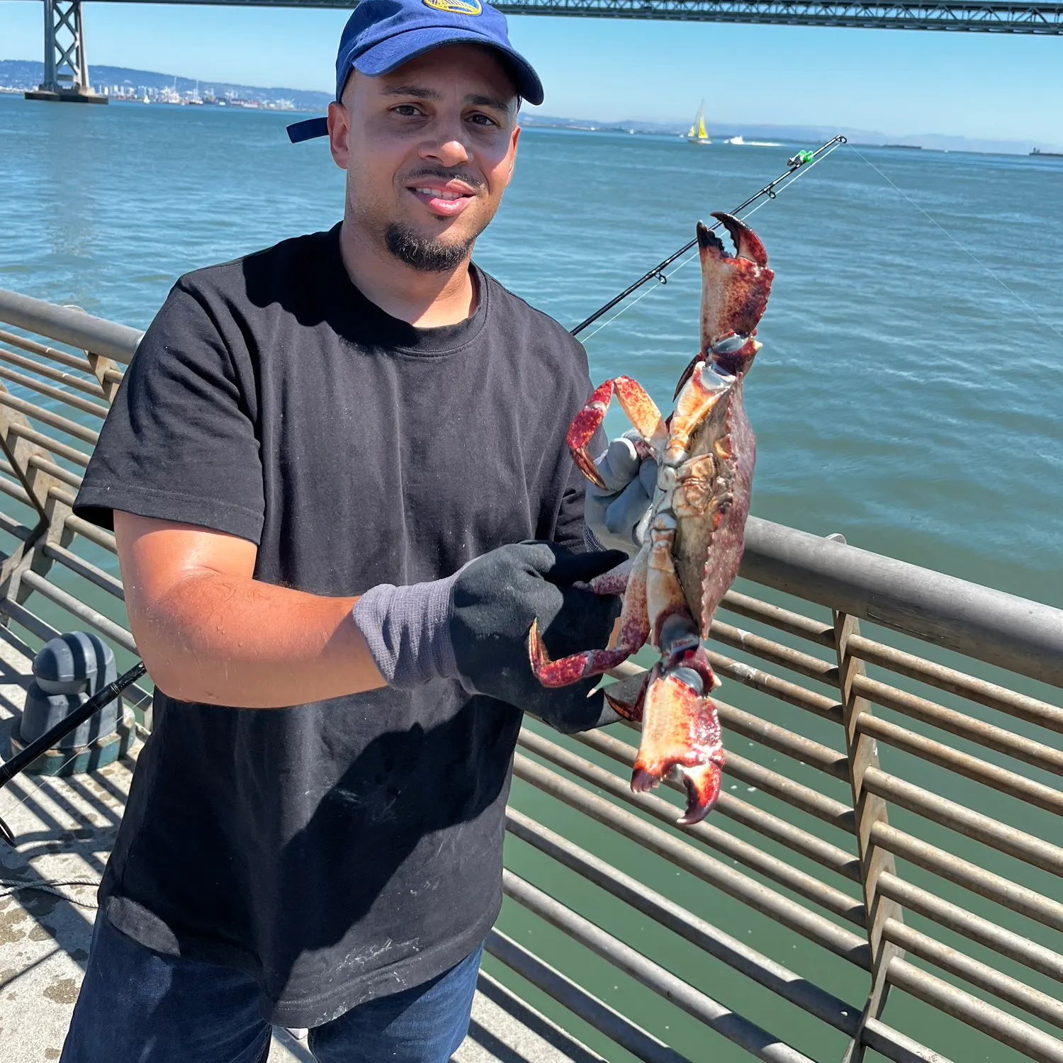 The most recent Red rock crab catches on Fishbrain