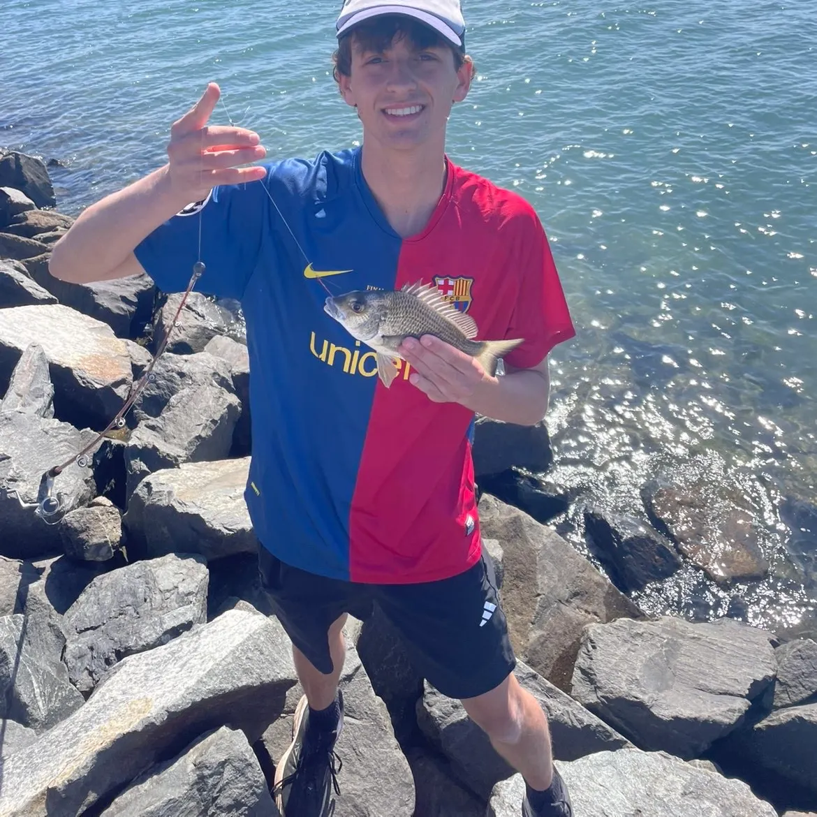 Surf bream caught on Fishbrain