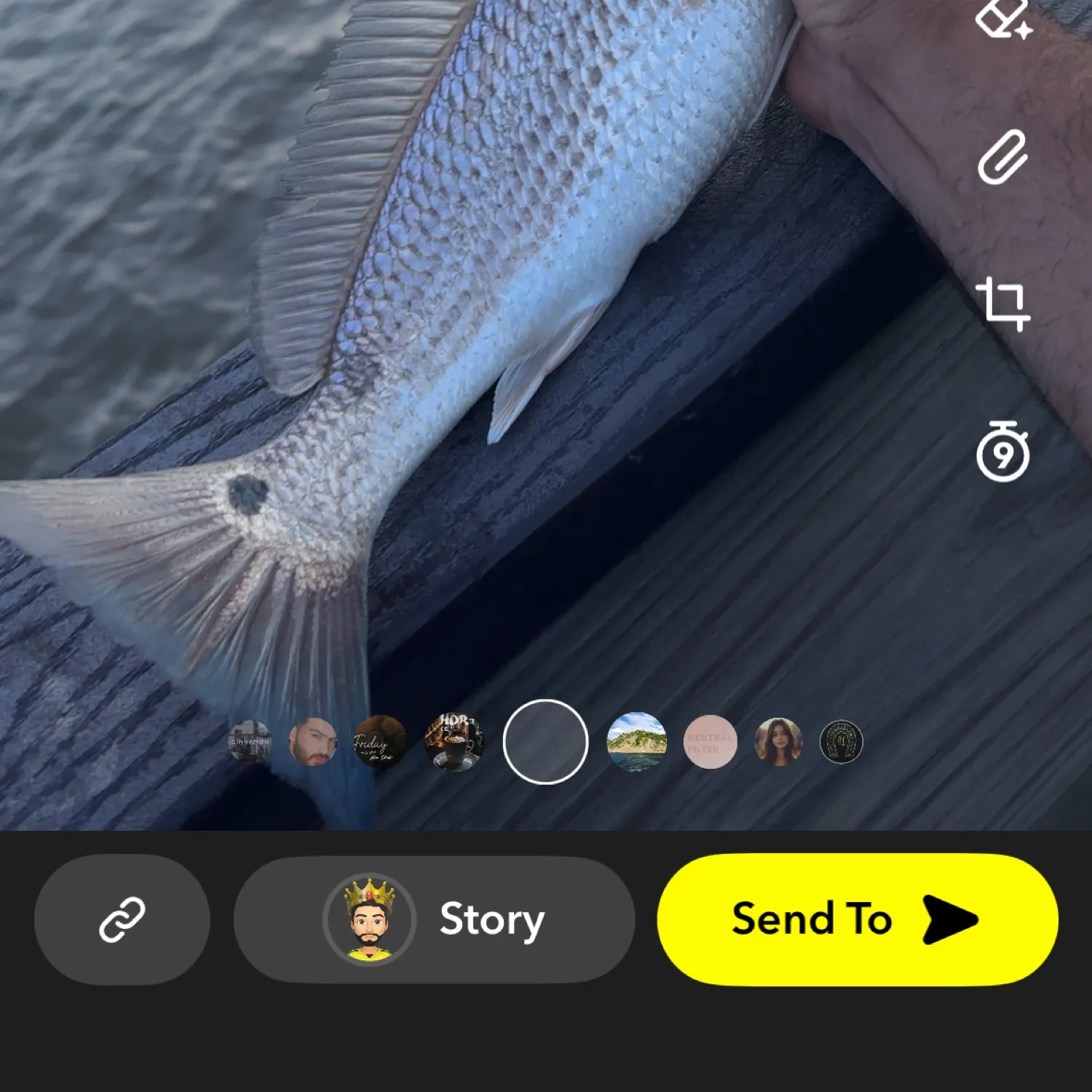 recently logged catches