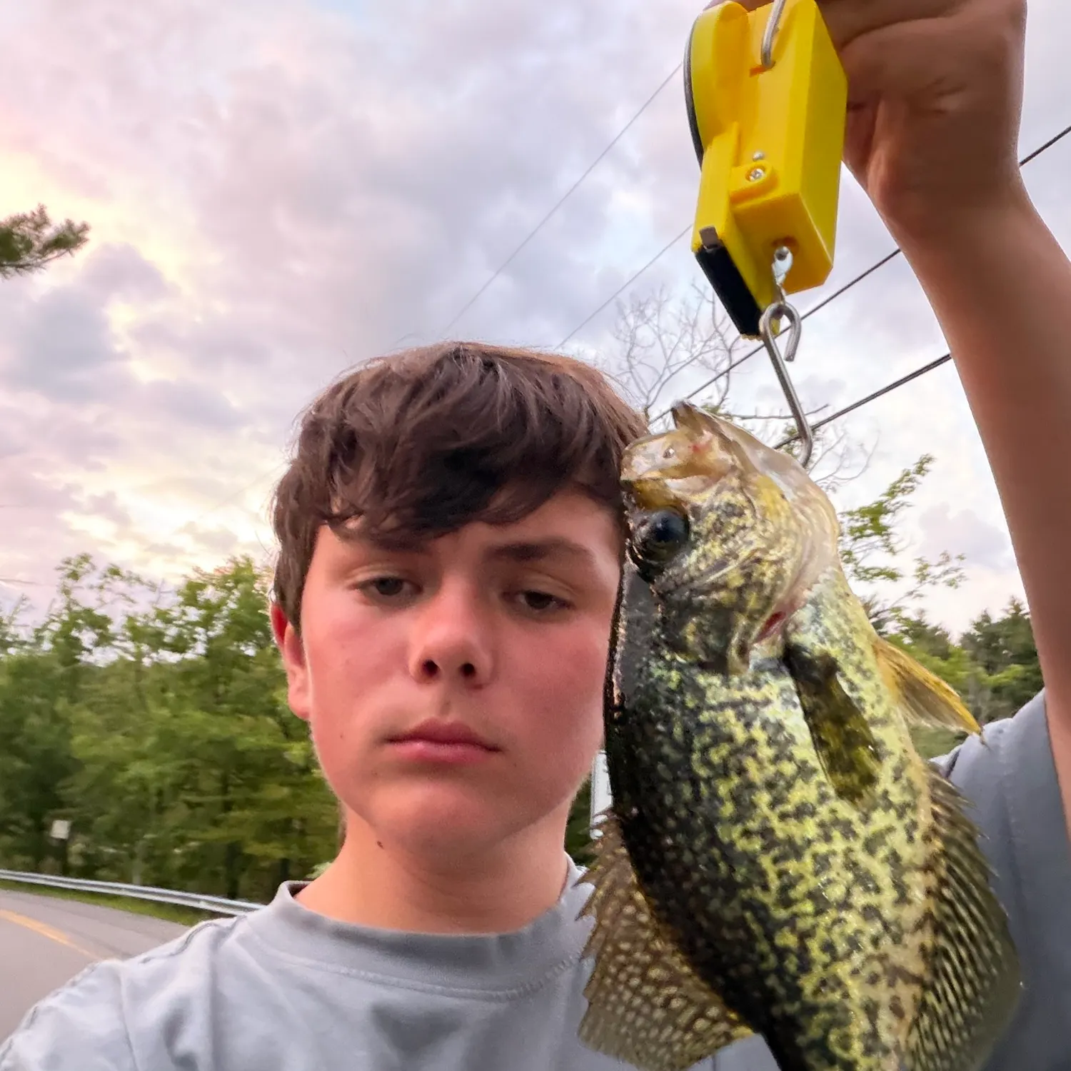 Black crappie caught on Fishbrain