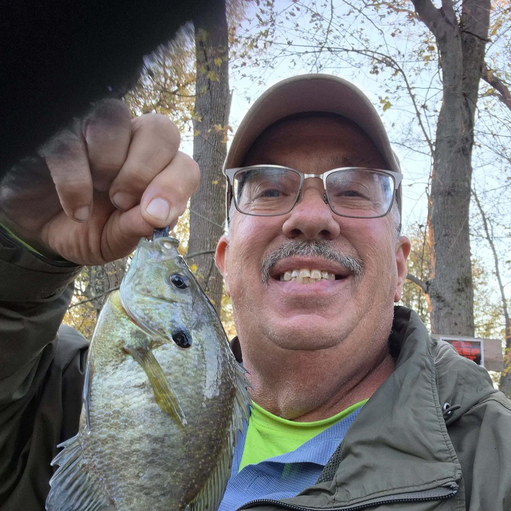 Bluegill caught on Fishbrain