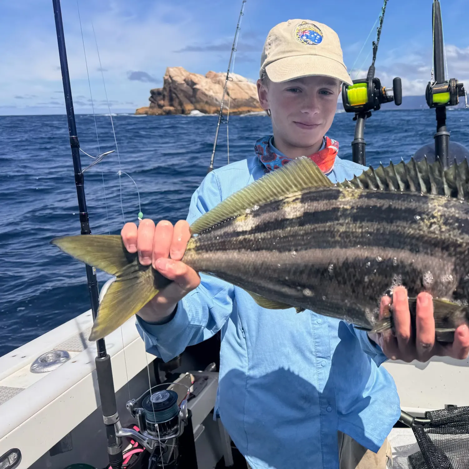 The most recent Striped trumpeter catches on Fishbrain