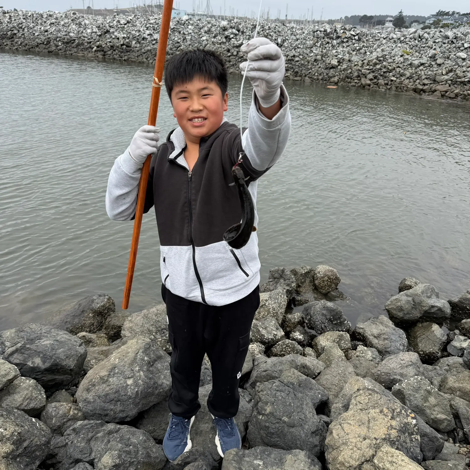 The most recent Monkeyface prickleback catches on Fishbrain