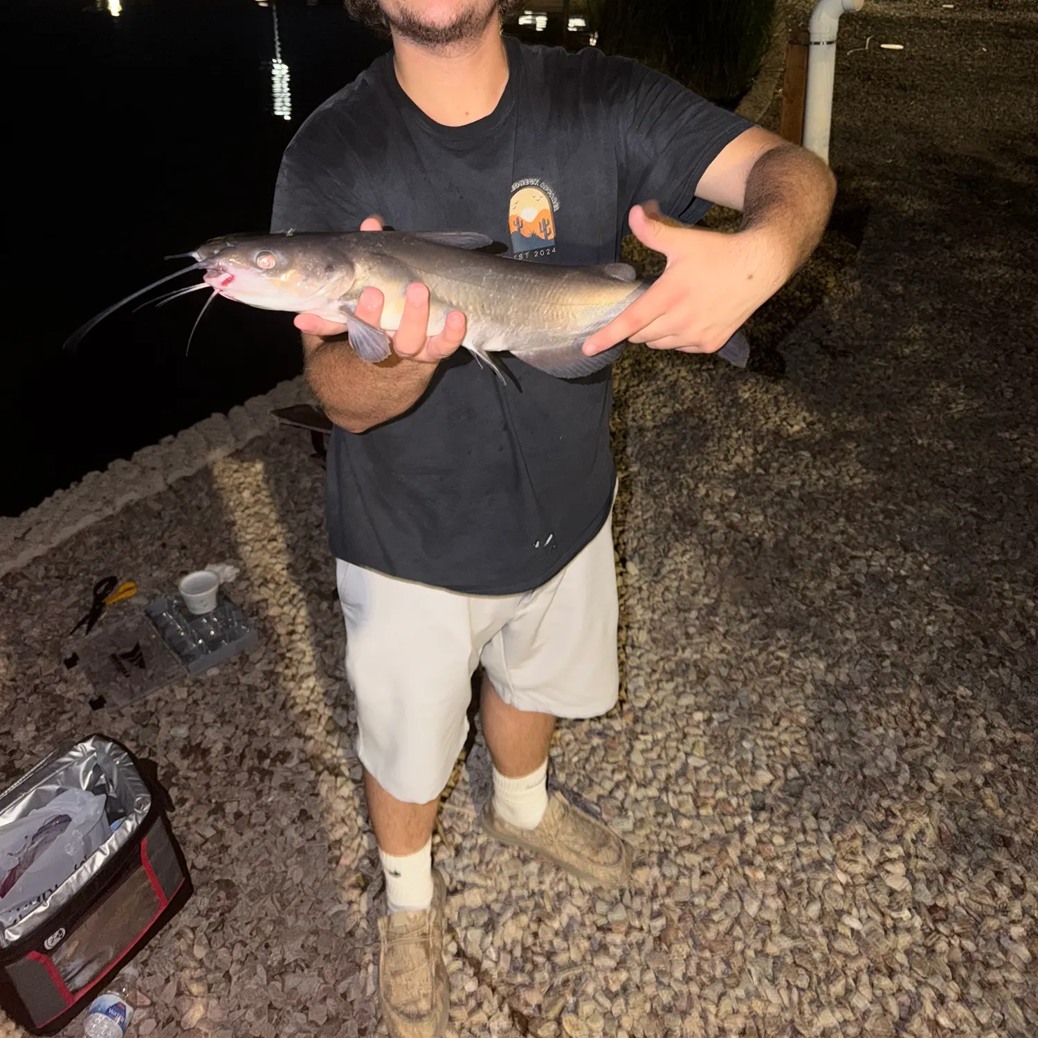 Channel catfish caught on Fishbrain