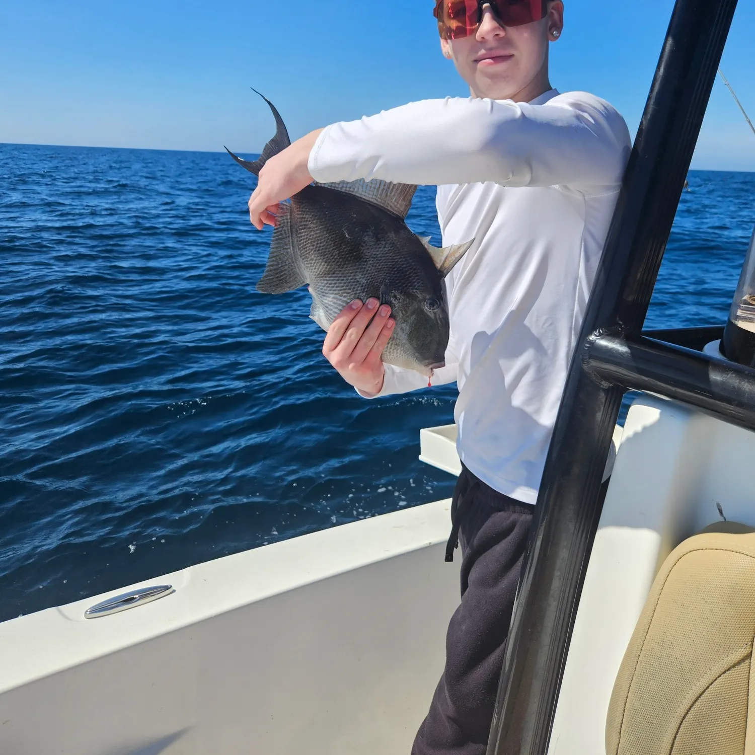 The most recent Grey triggerfish catches on Fishbrain