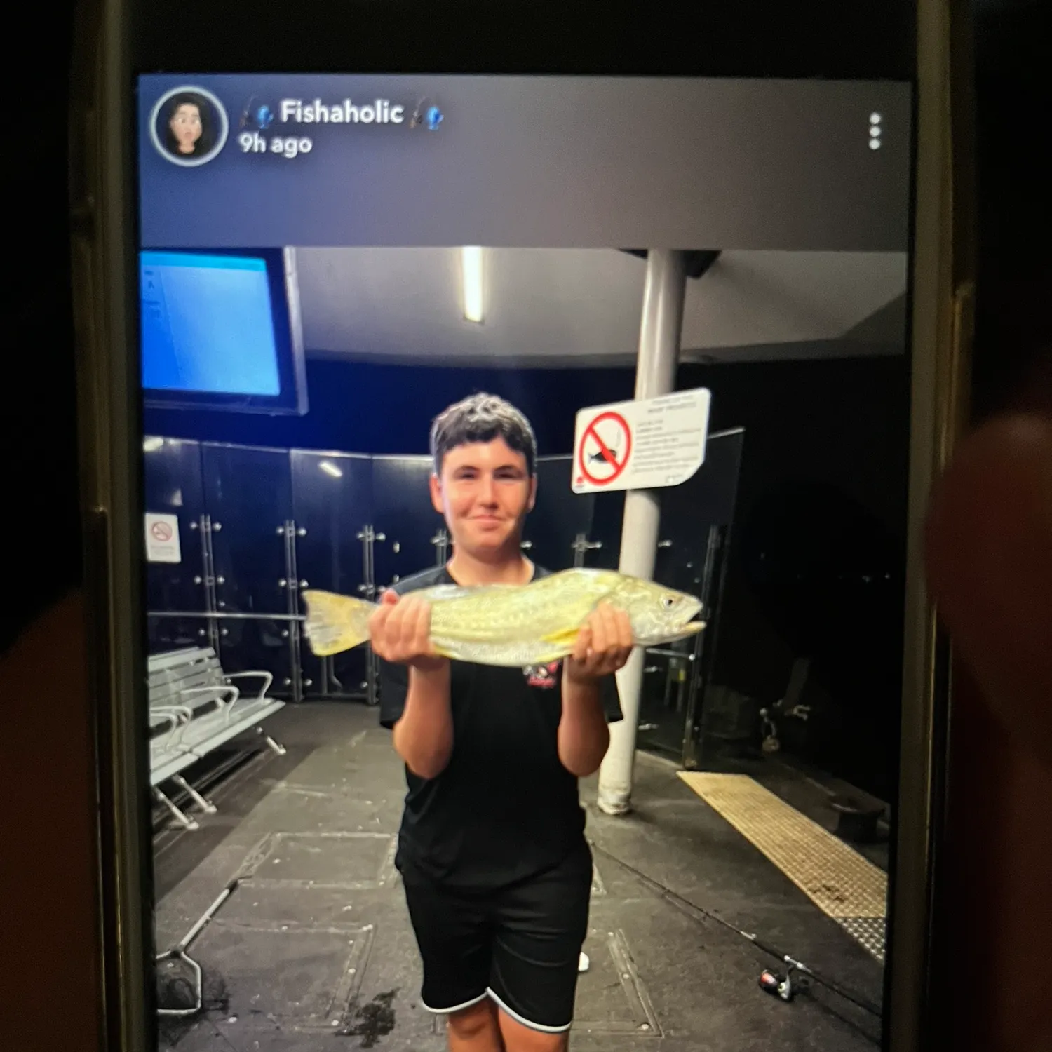 The most recent Japanese meagre catches on Fishbrain