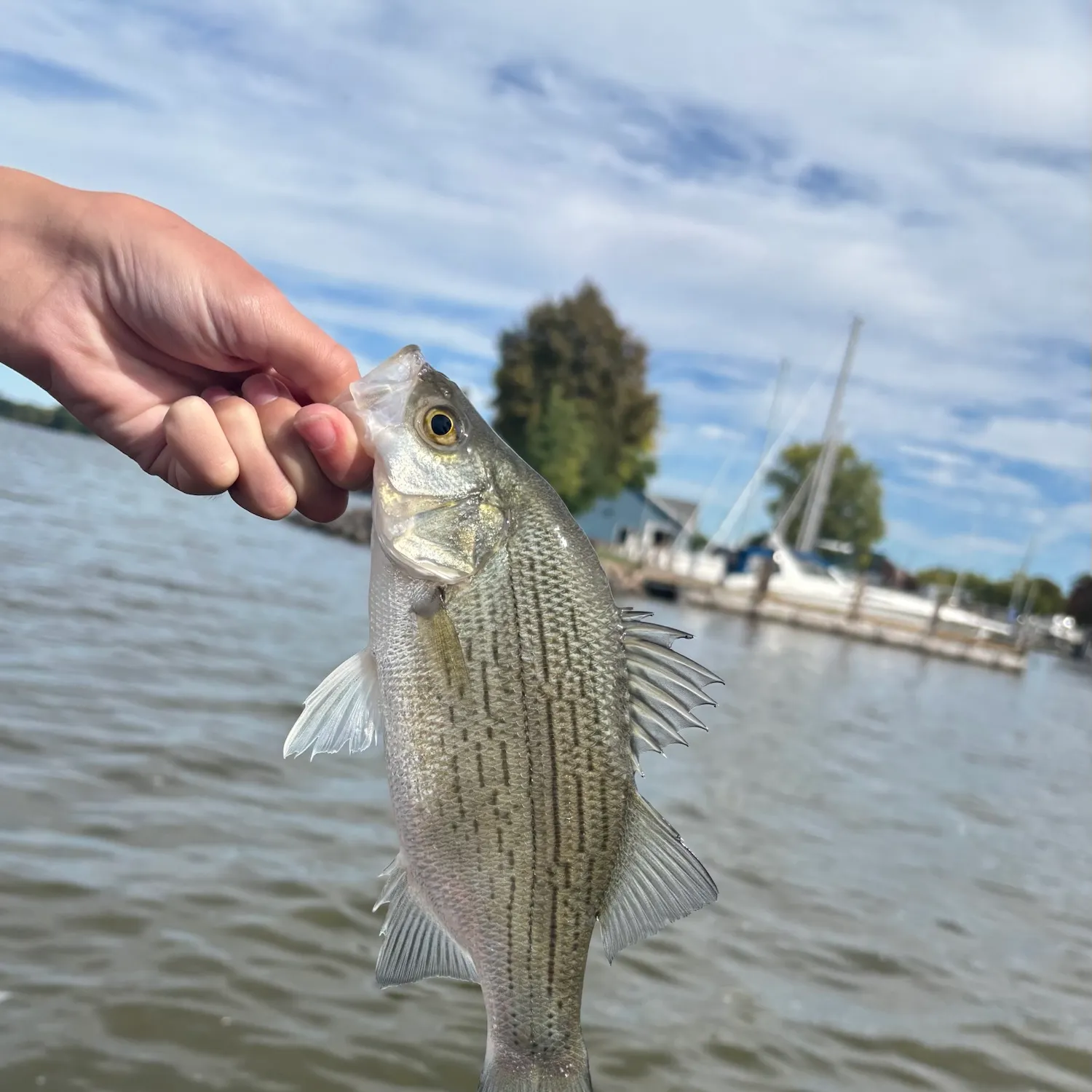 catch