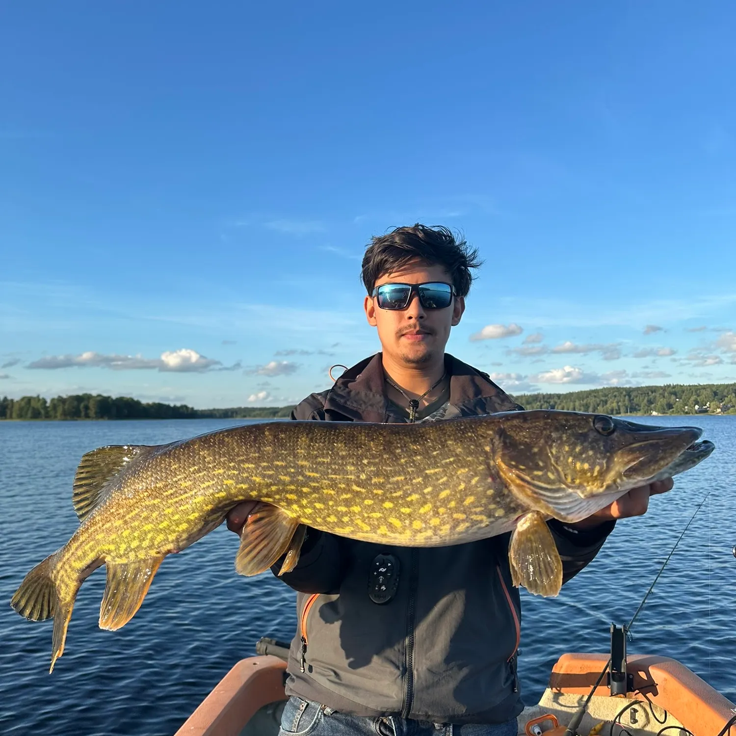 Northern pike caught on Fishbrain