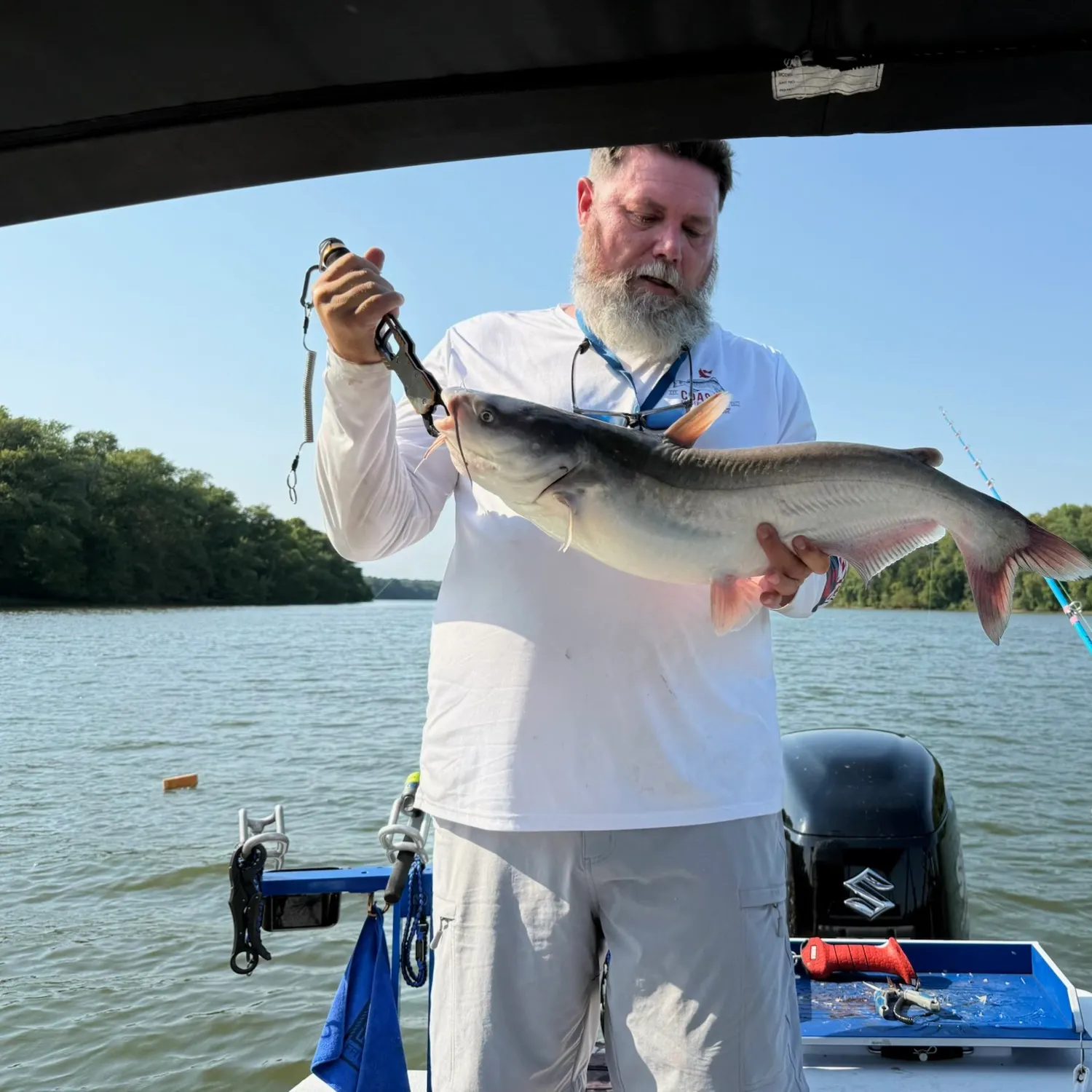 Blue catfish caught on Fishbrain