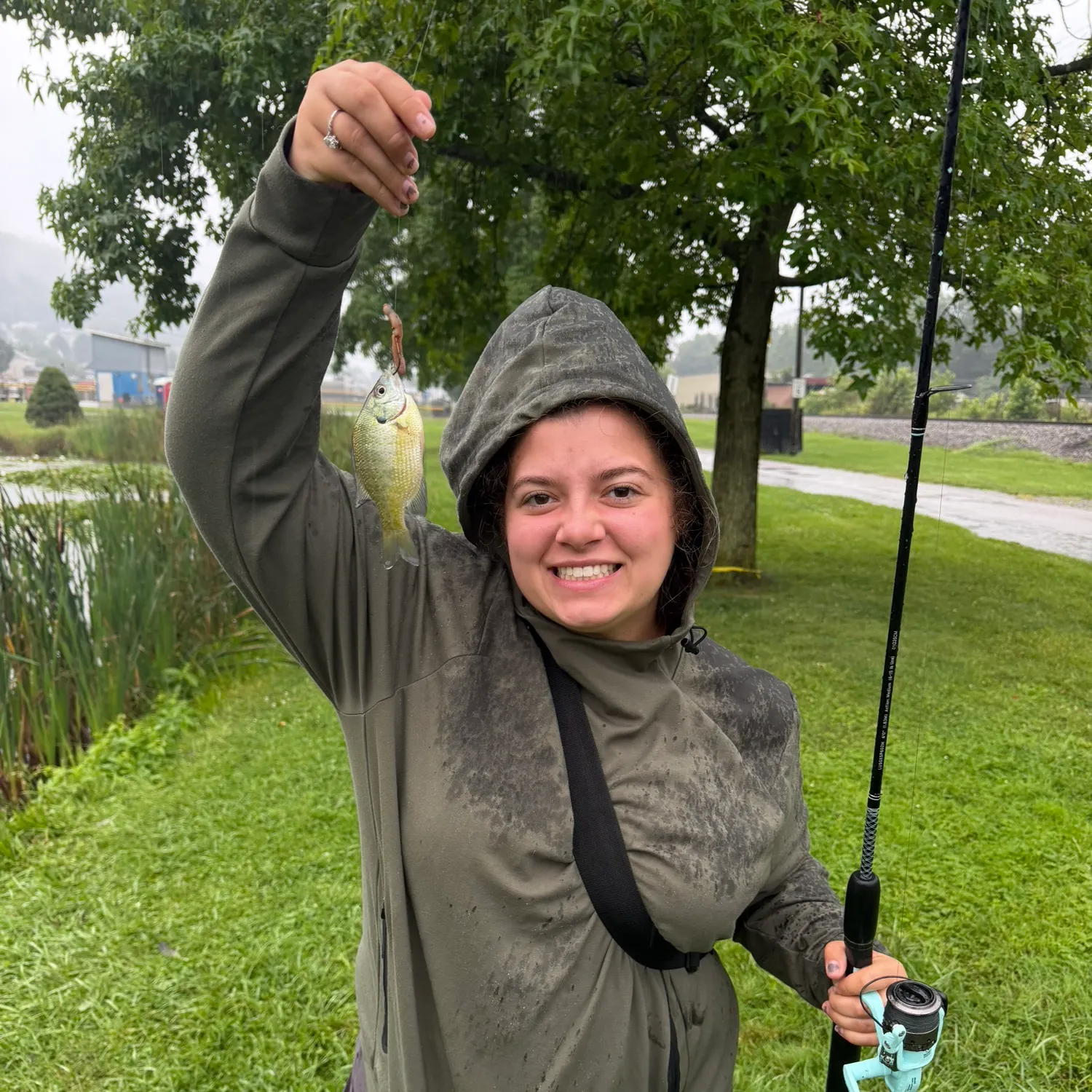 Bluegill caught on Fishbrain