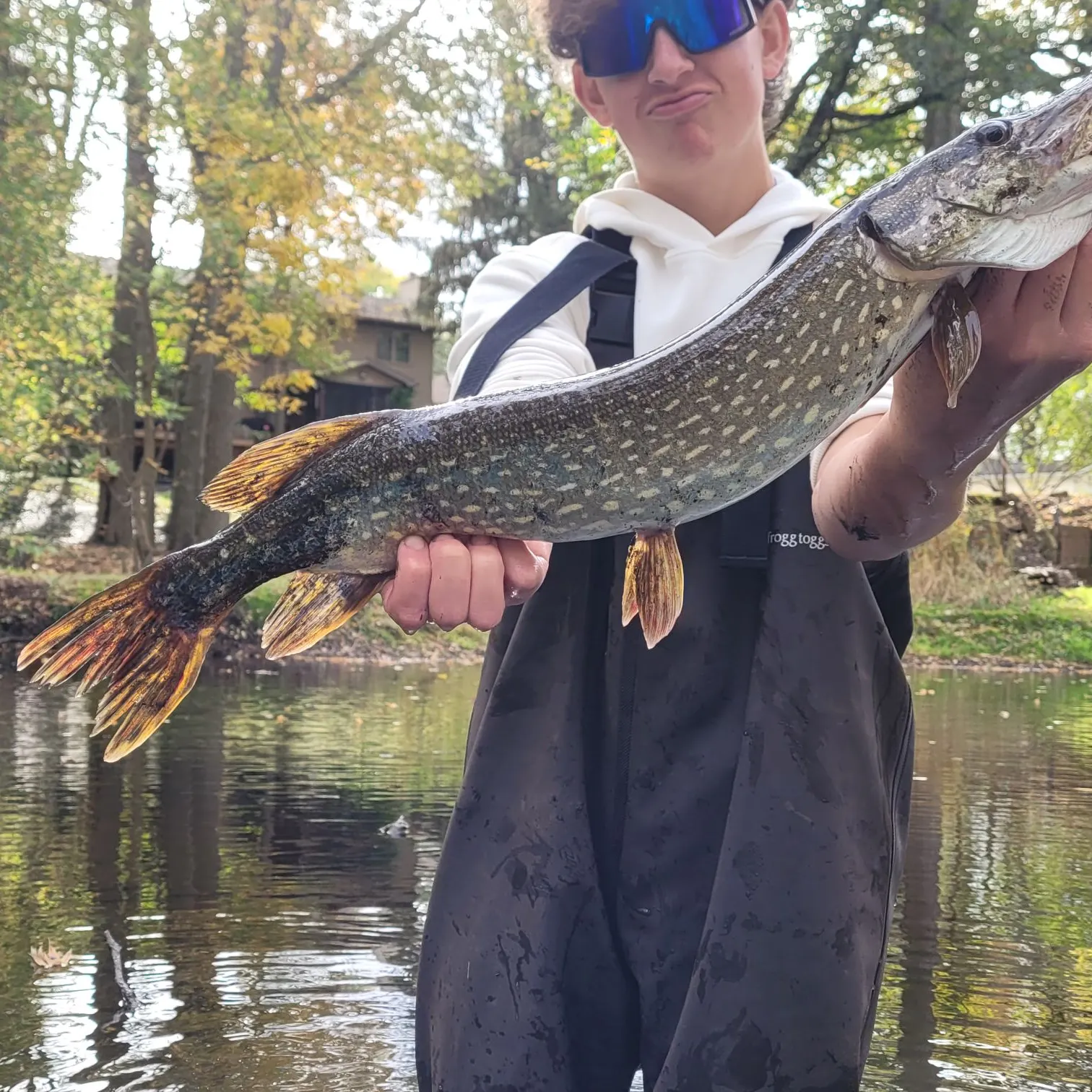 Northern pike caught on Fishbrain