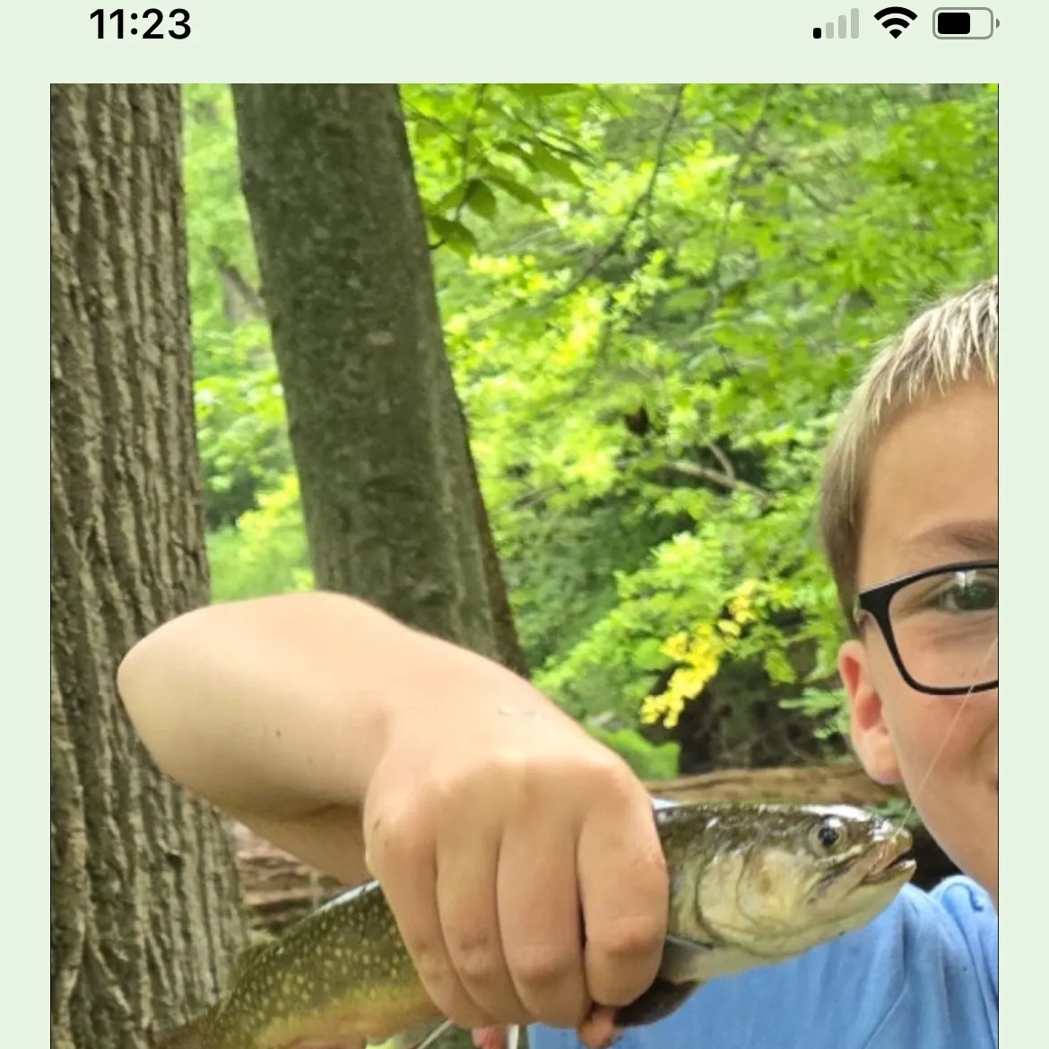 recently logged catches