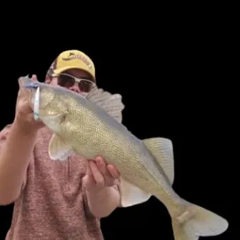 Walleye caught on Fishbrain