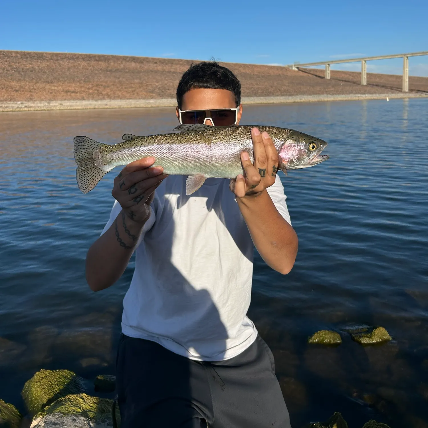 Rainbow trout caught on Fishbrain