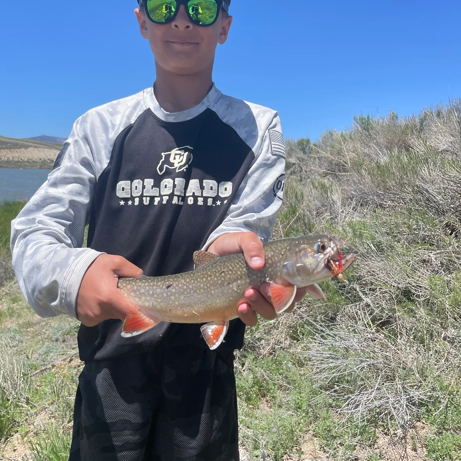 The most recent Splake catches on Fishbrain
