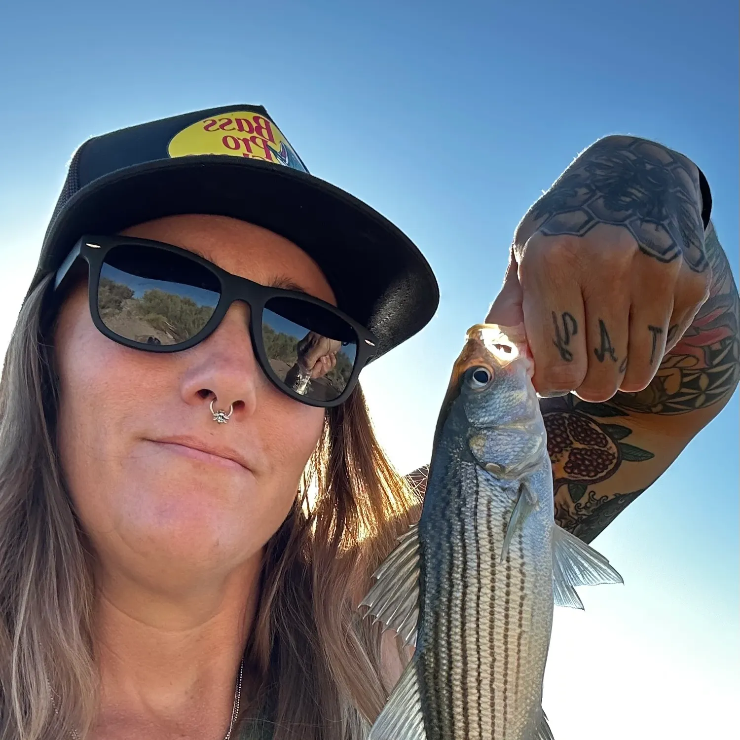 Striped bass caught on Fishbrain