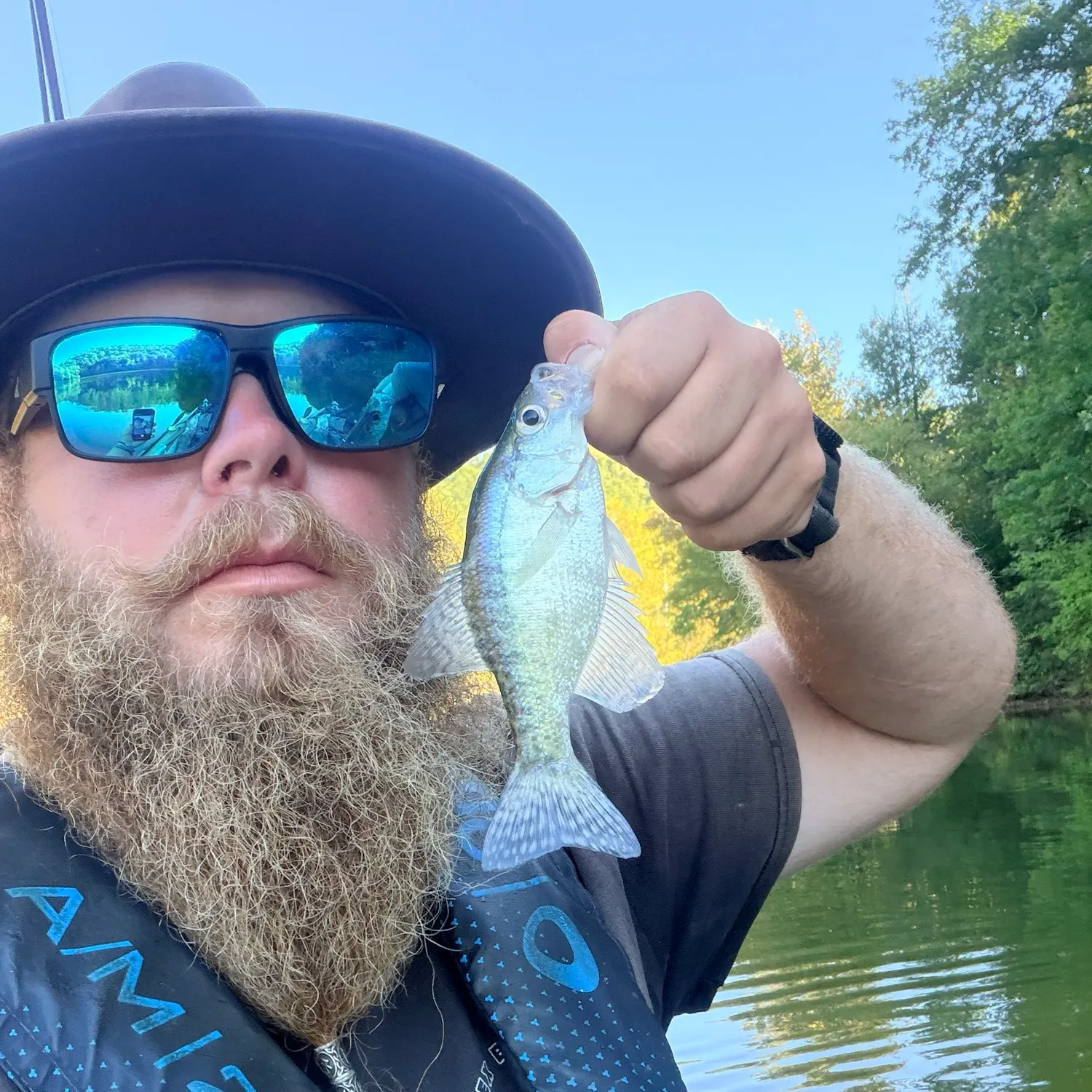 White crappie caught on Fishbrain
