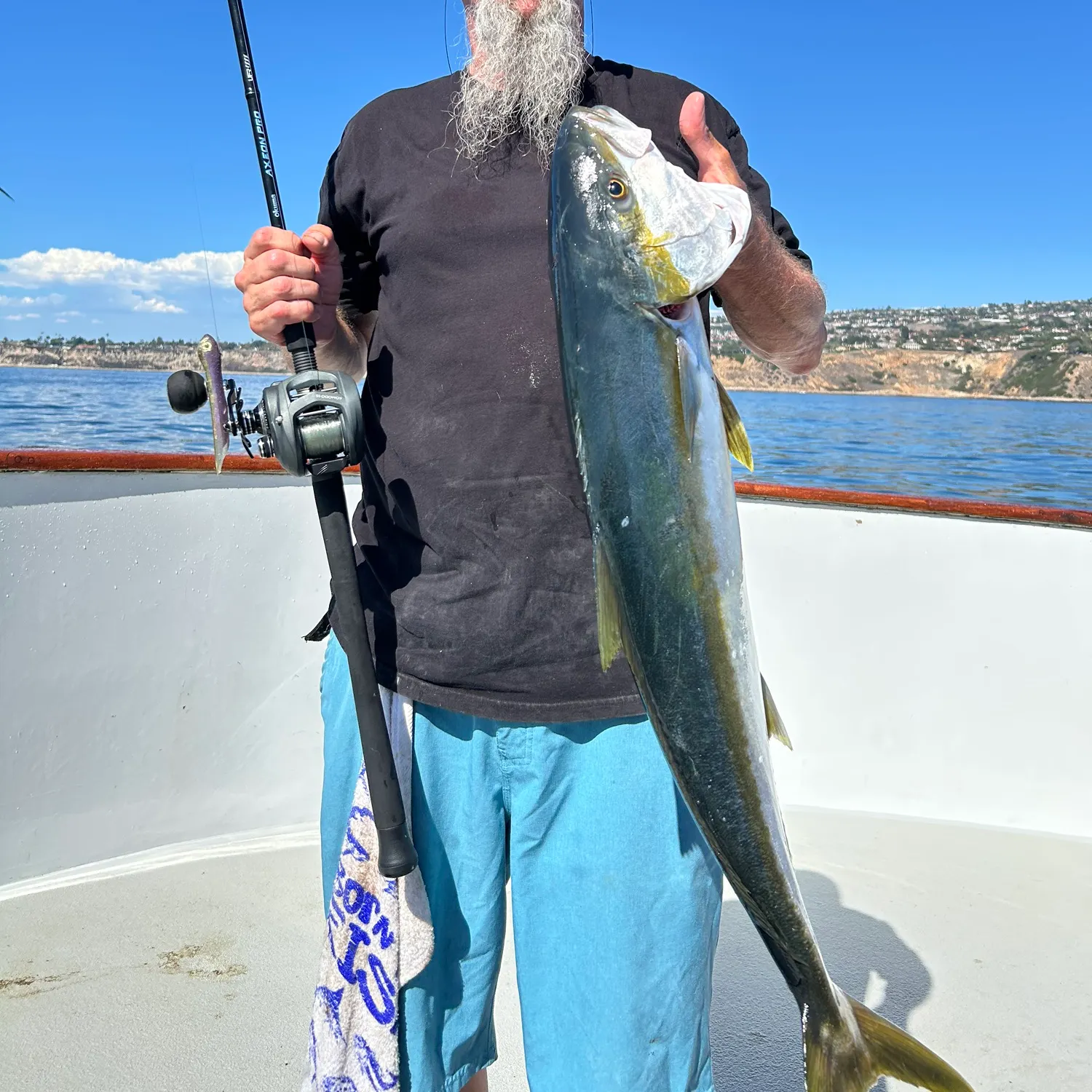 California yellowtail amberjack caught on Fishbrain