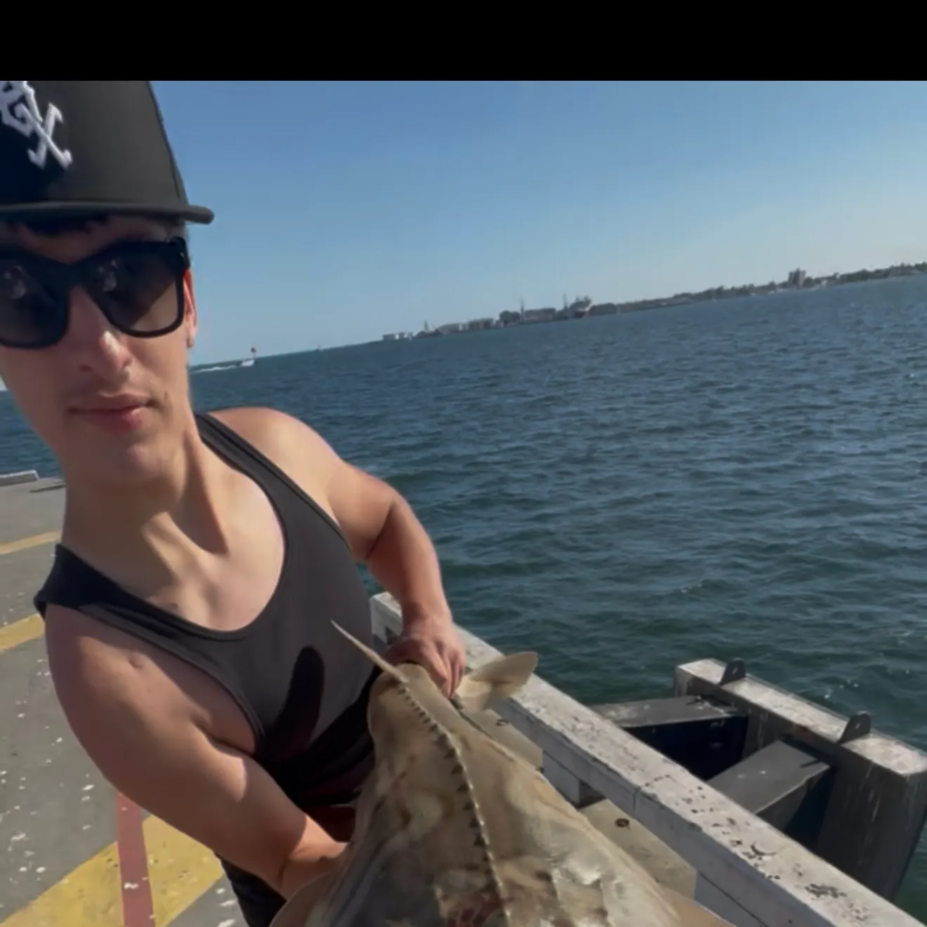 Southern fiddler caught on Fishbrain