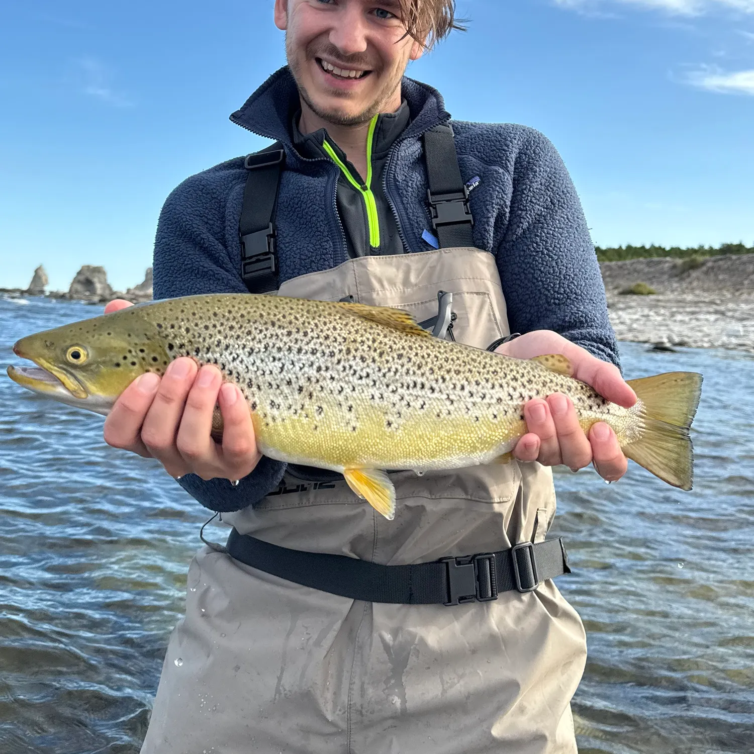 The most recent Sea trout catches on Fishbrain