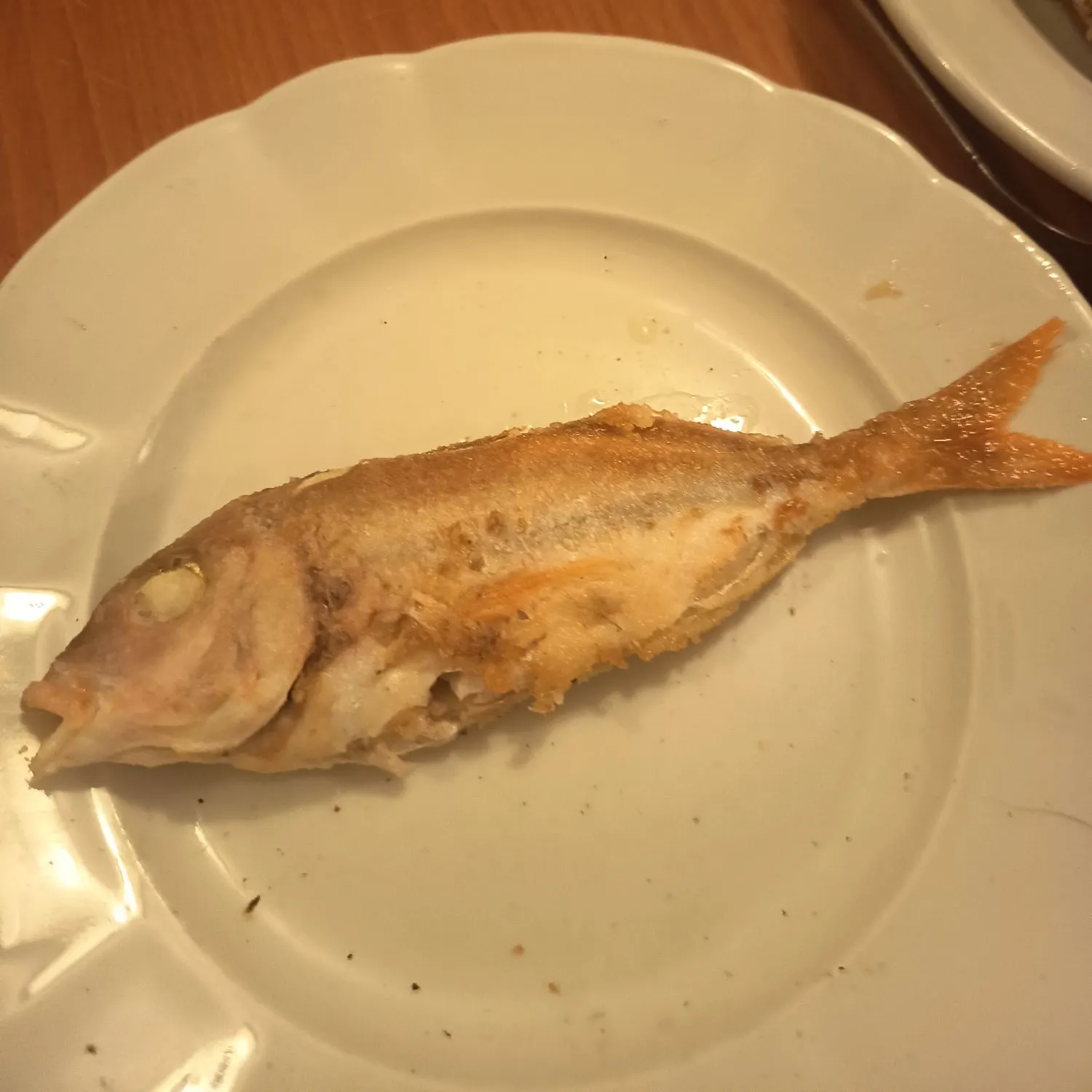 The most recent Common pandora catches on Fishbrain