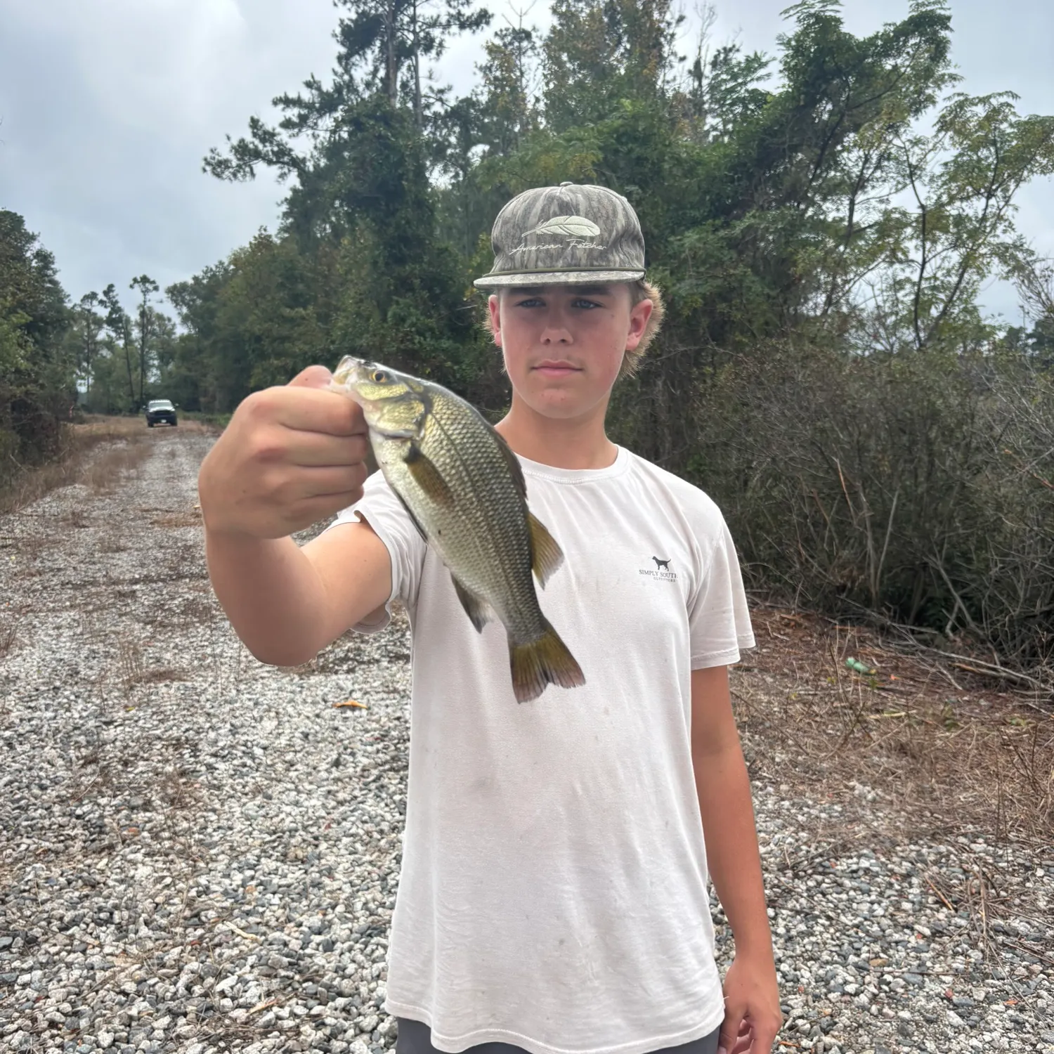 White perch caught on Fishbrain