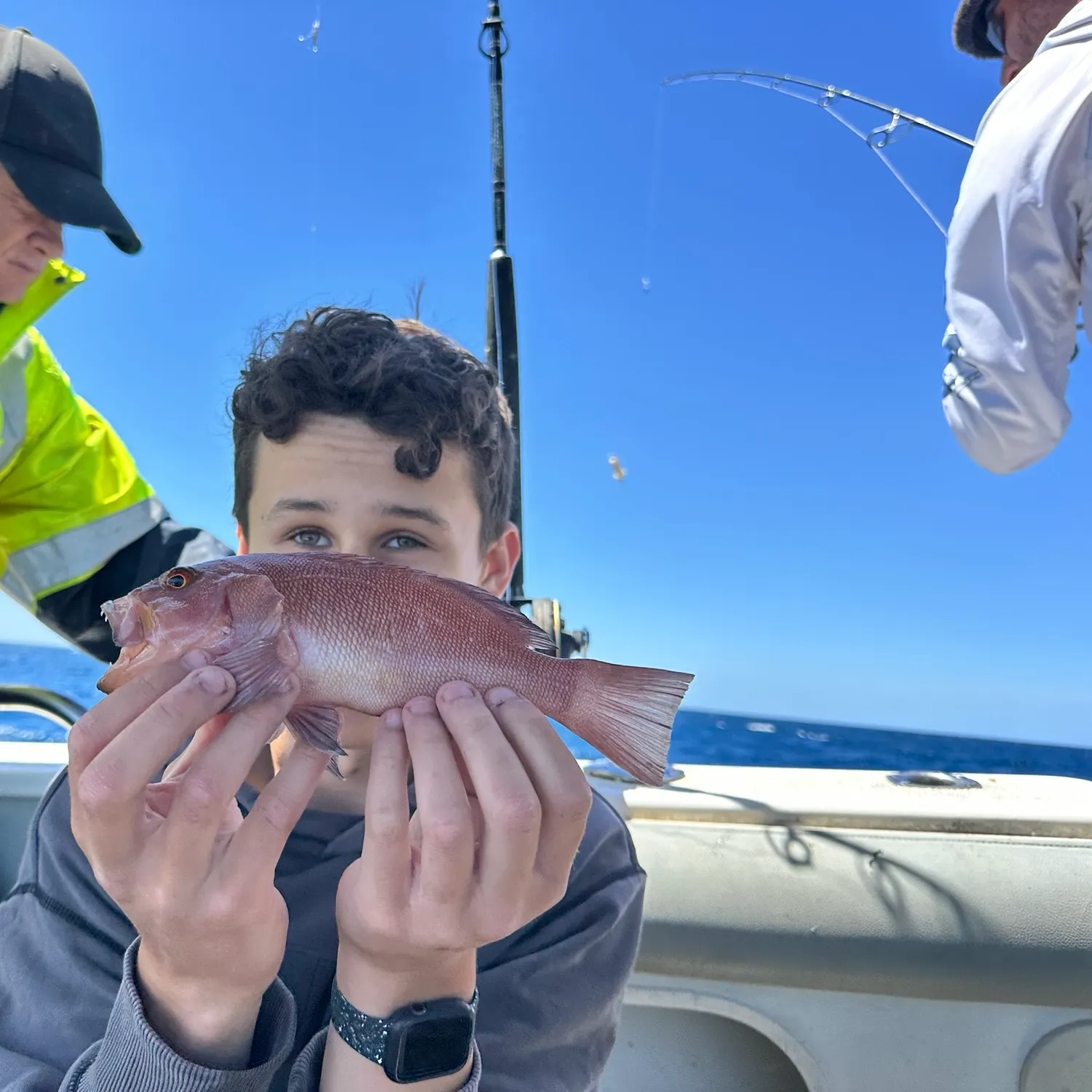 The most recent Brownspotted wrasse catches on Fishbrain