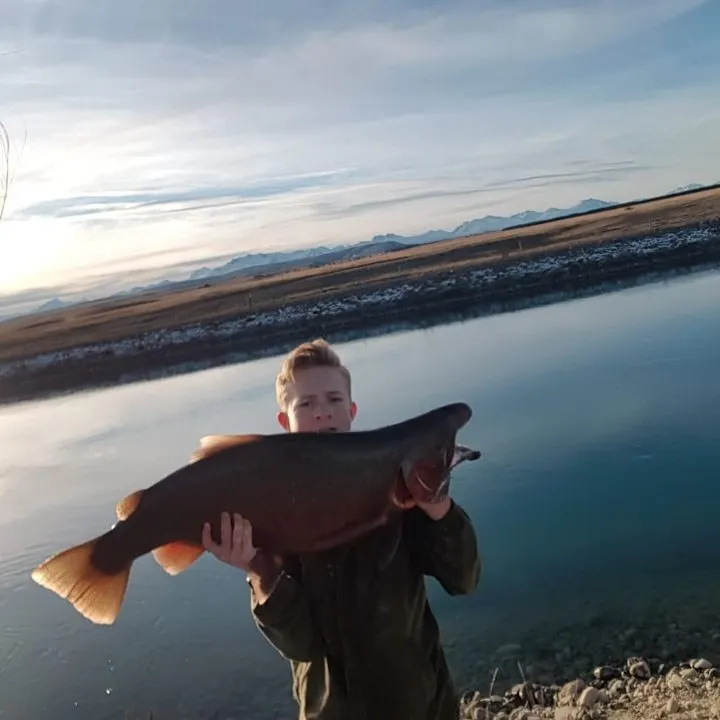 angler catch