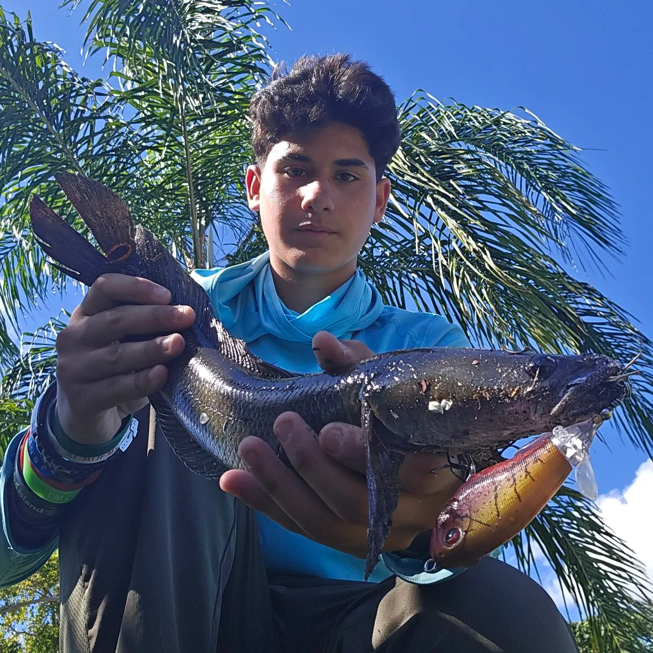 The most recent Bullseye snakehead catches on Fishbrain