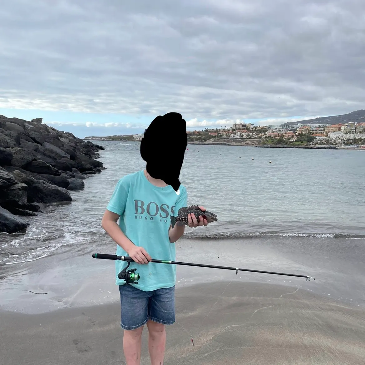 The most recent Goldsinny-wrasse catches on Fishbrain