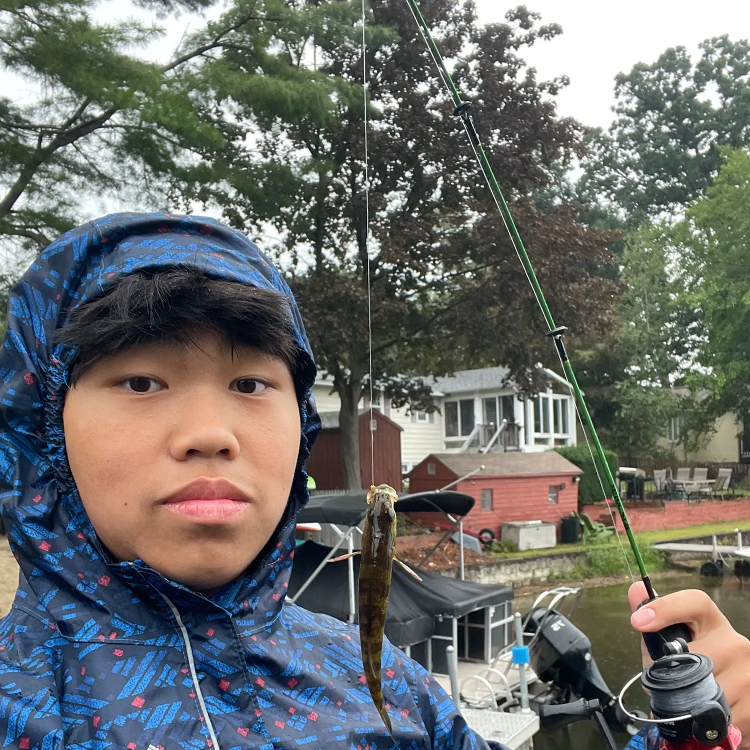 Yellow perch caught on Fishbrain