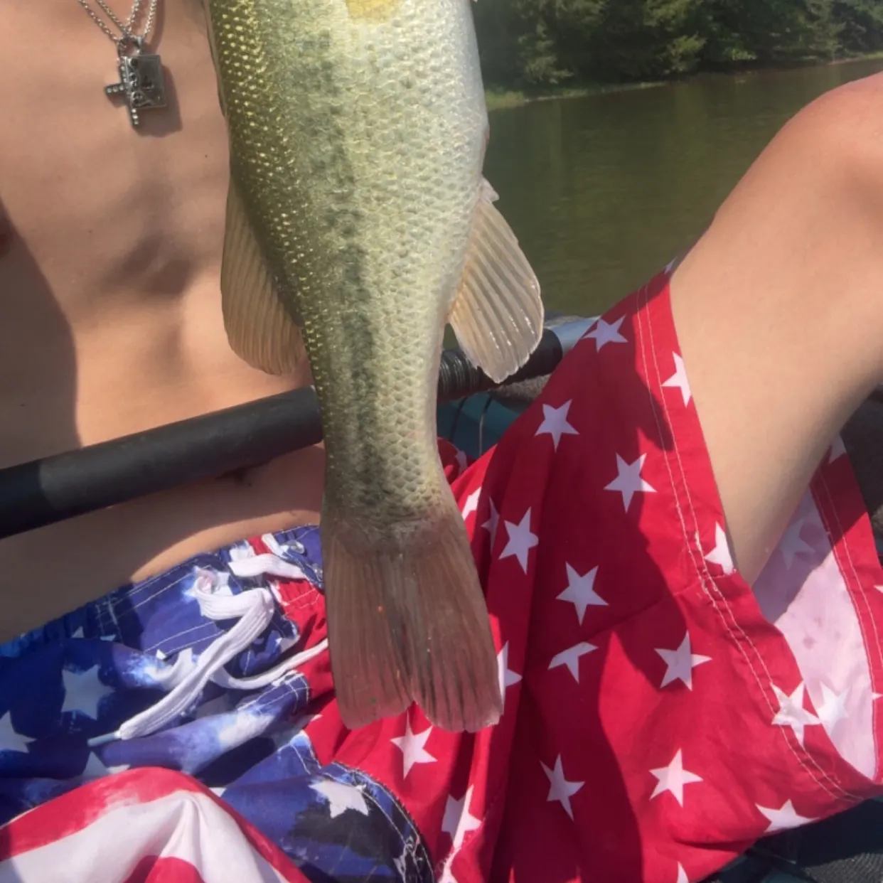Largemouth bass caught on Fishbrain