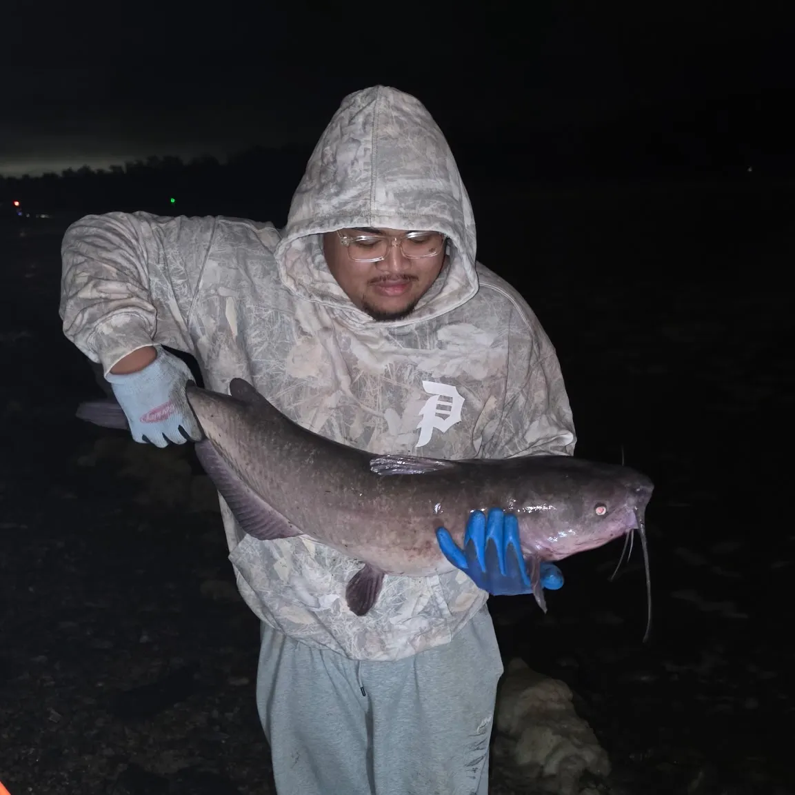 Fish caught on Fishbrain