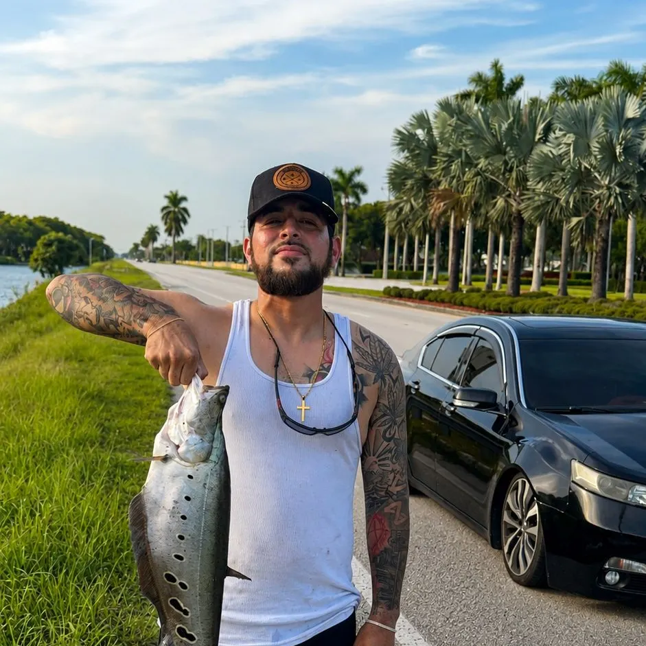 The most recent Clown knifefish catches on Fishbrain