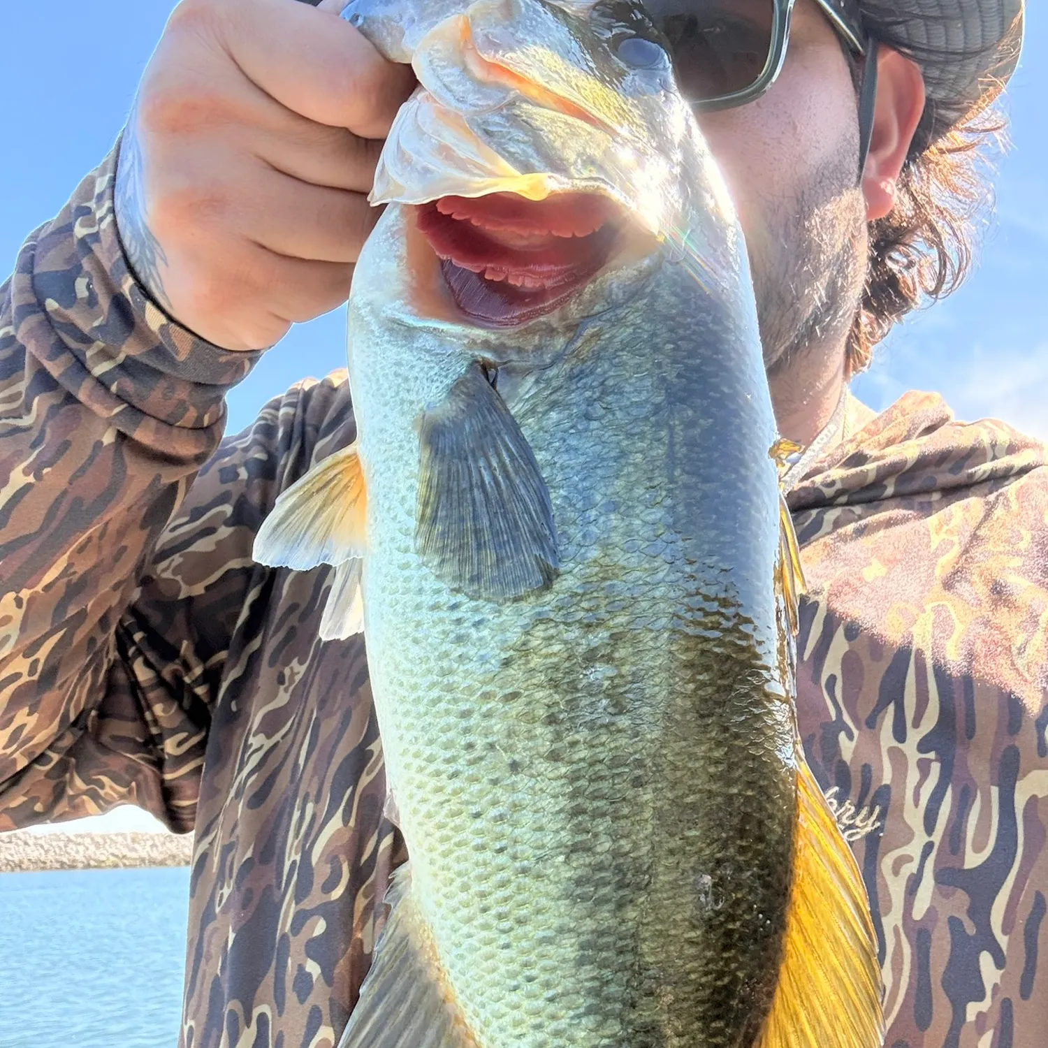 Largemouth bass caught on Fishbrain