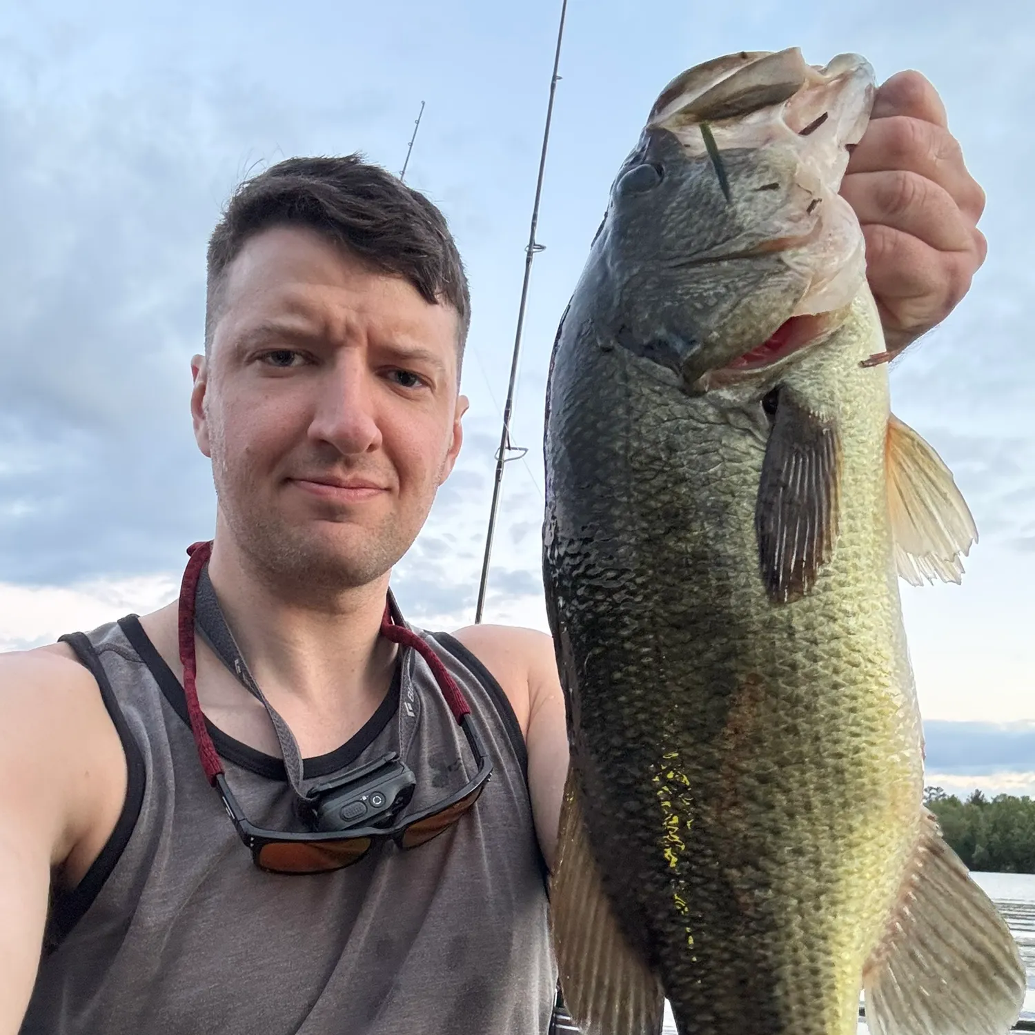 Largemouth bass caught on Fishbrain