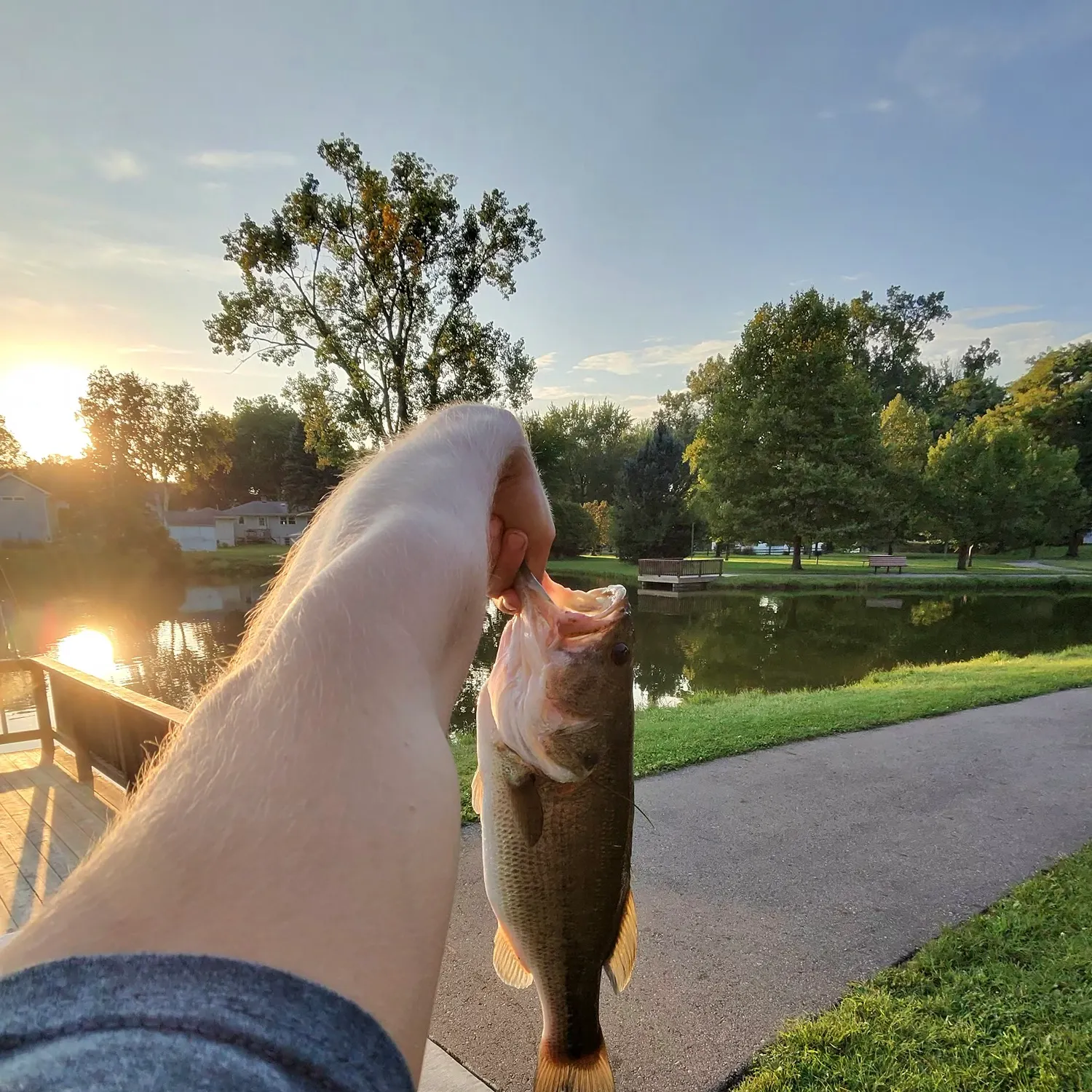 catch