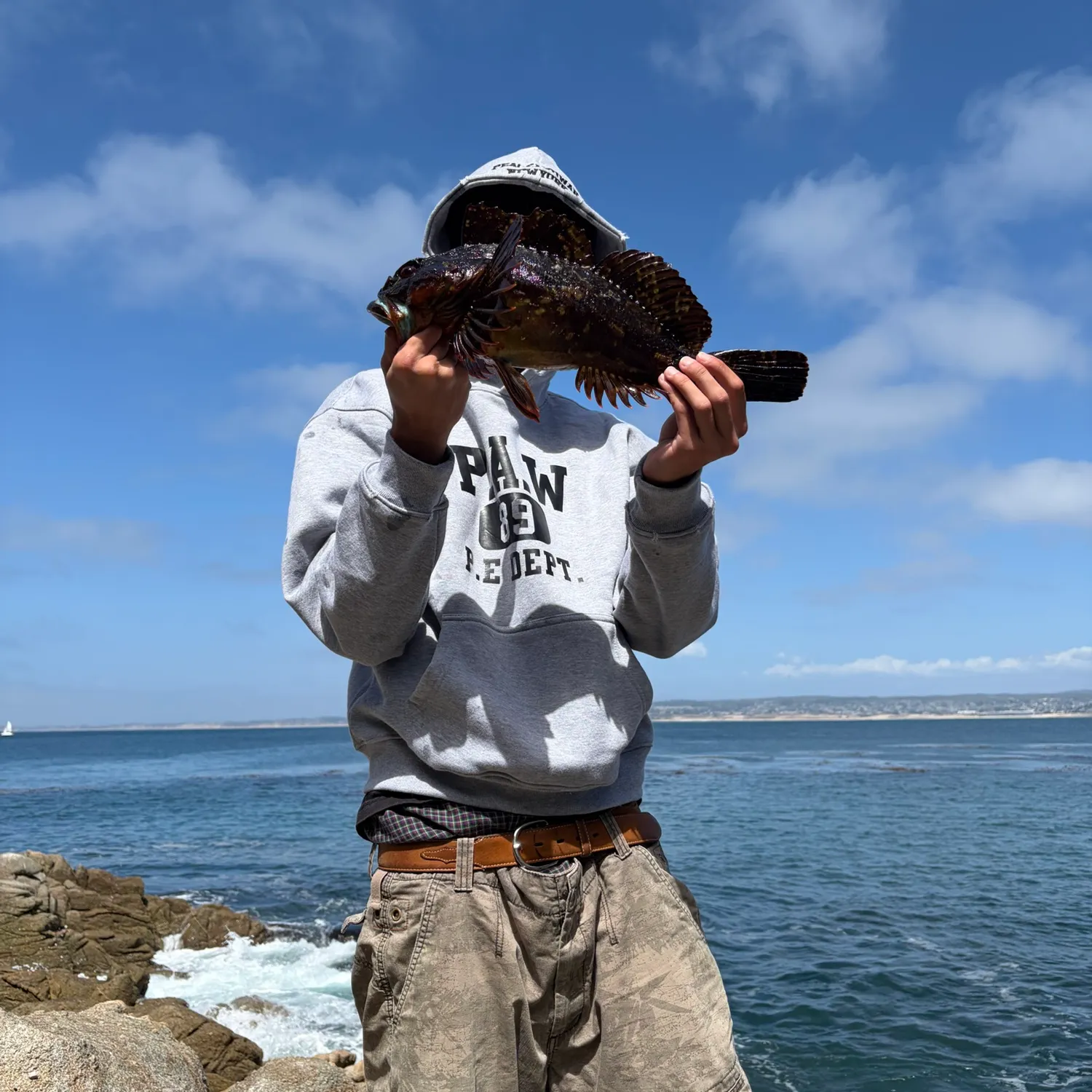 The most recent Cabezon catches on Fishbrain