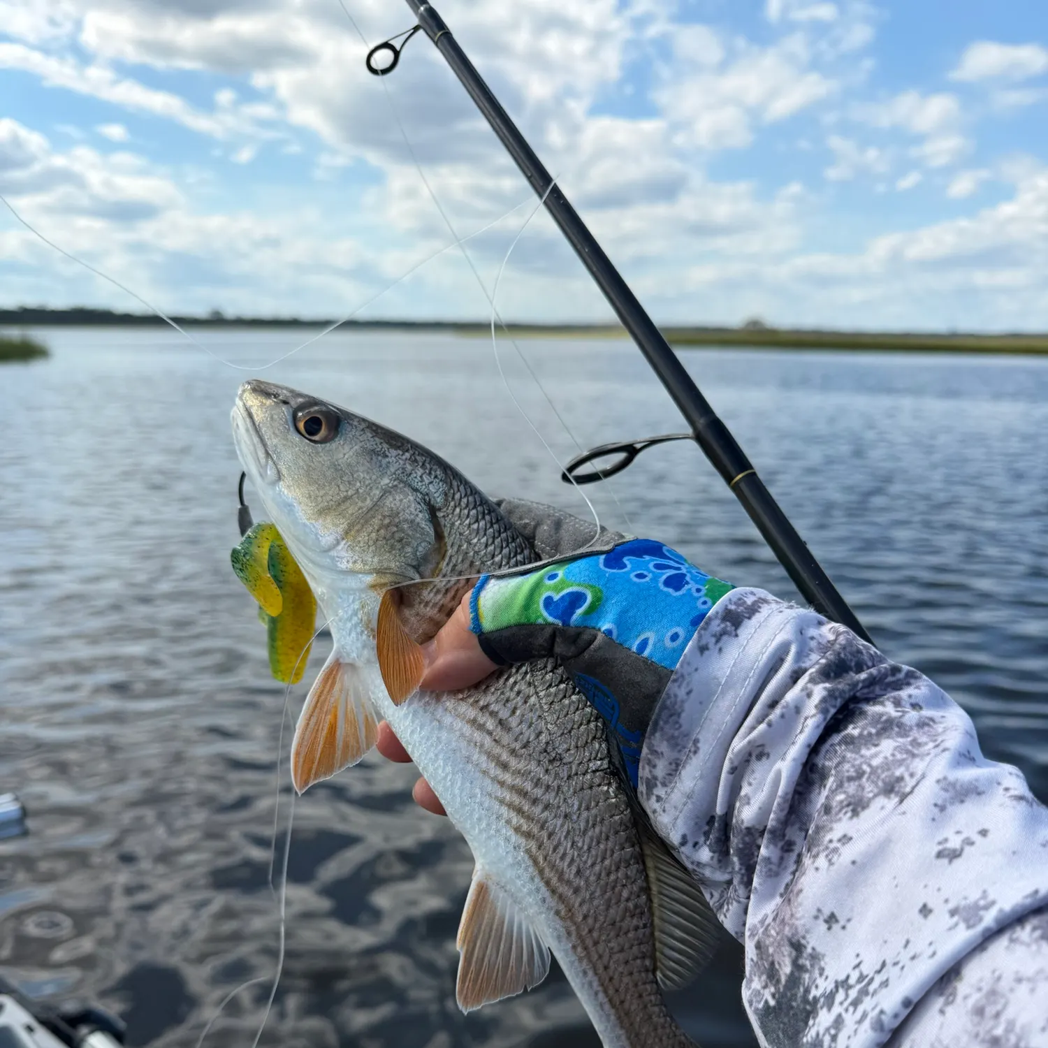 Red drum caught on Fishbrain