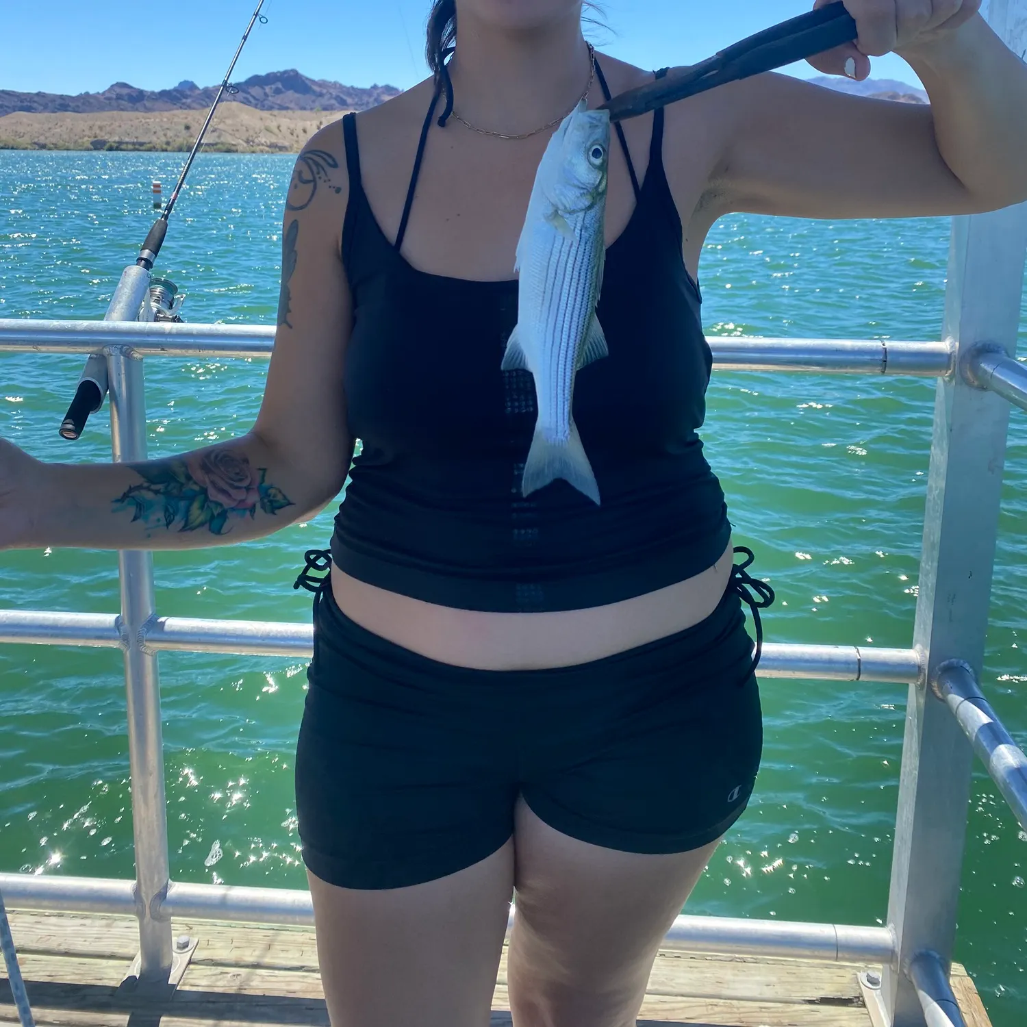 Striped bass caught on Fishbrain