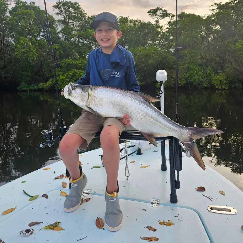 Tarpon caught on Fishbrain