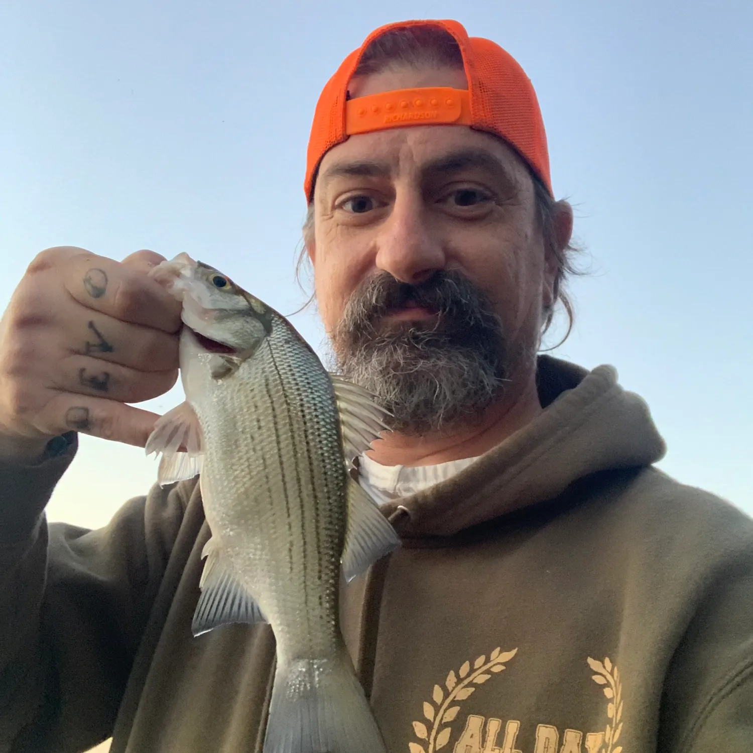 White bass caught on Fishbrain