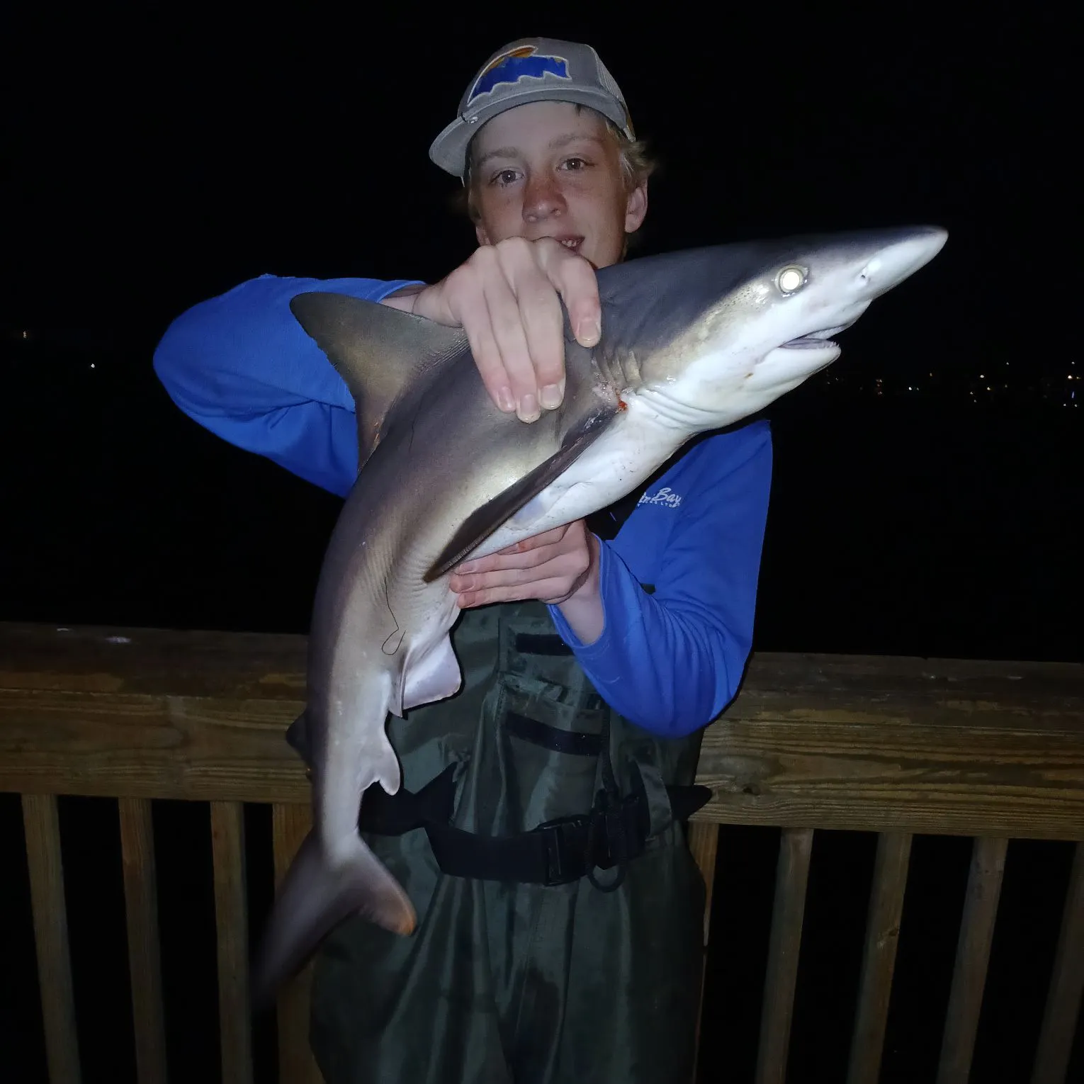 Sandbar shark caught on Fishbrain
