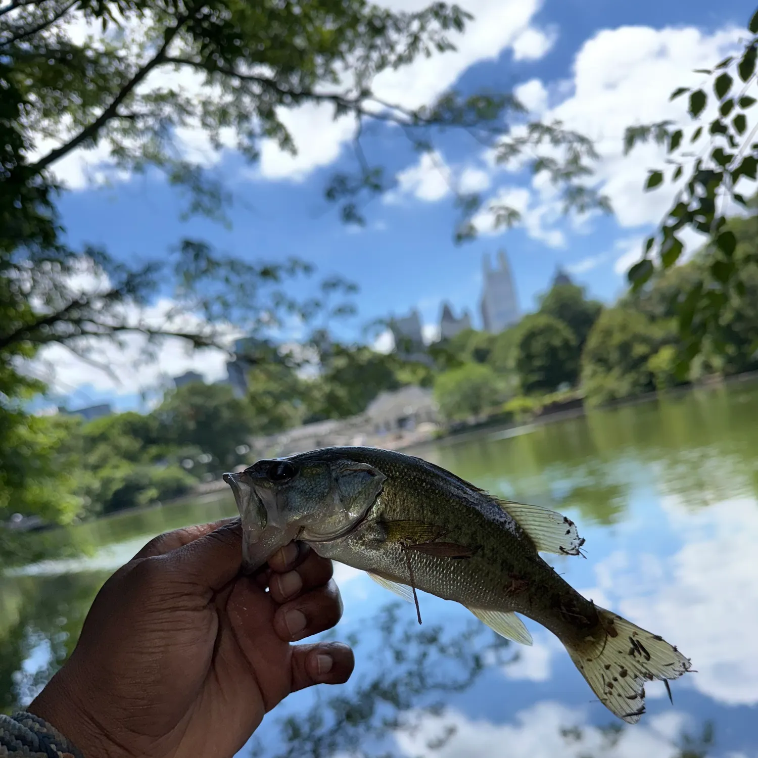 catch
