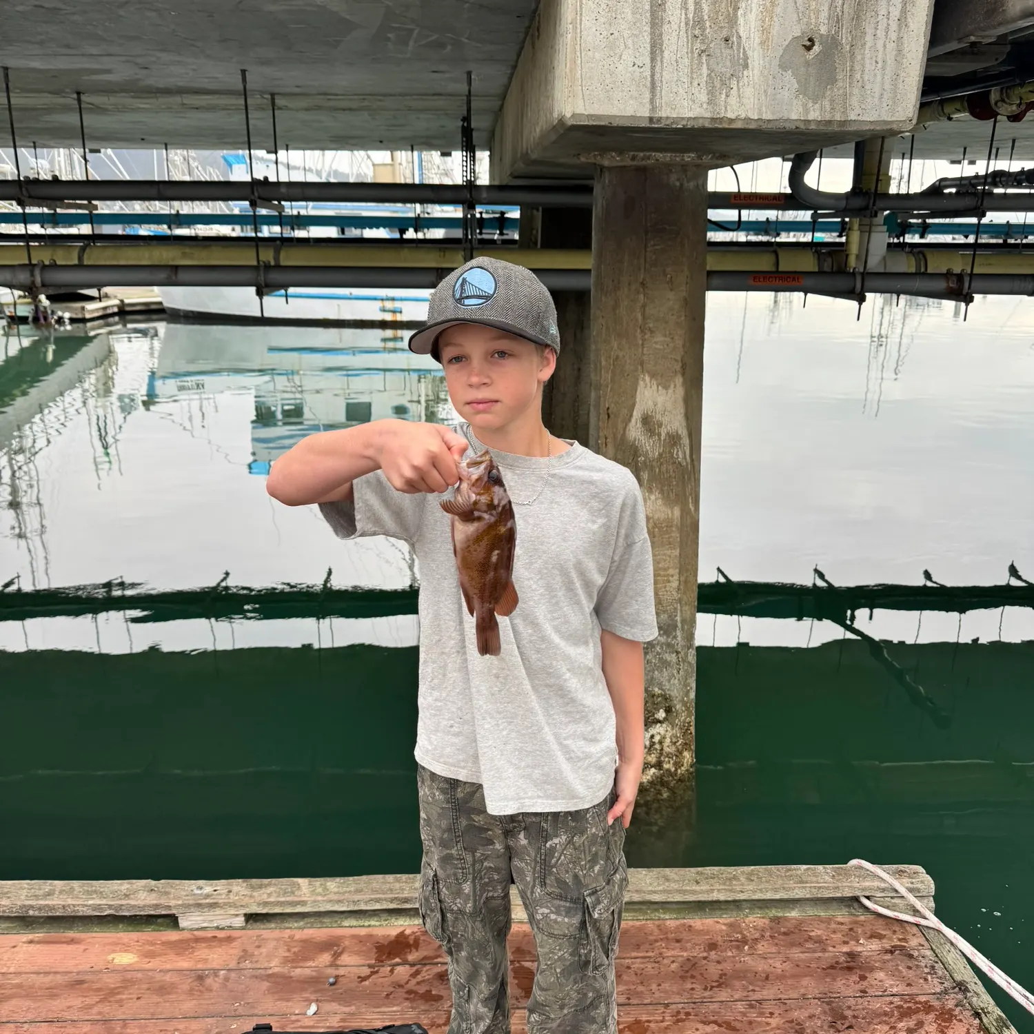 The most recent Copper rockfish catches on Fishbrain