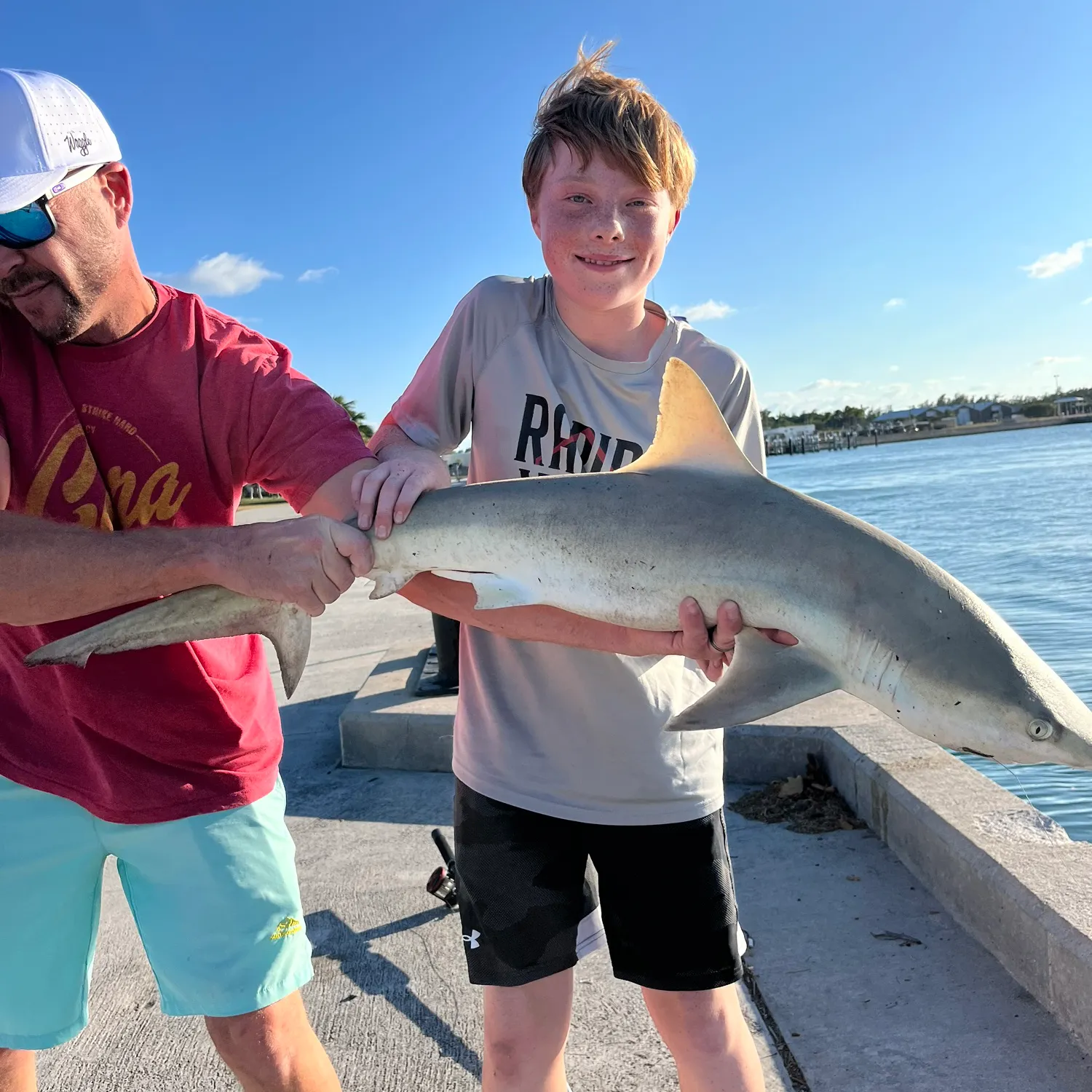 The most recent Lemon shark catches on Fishbrain