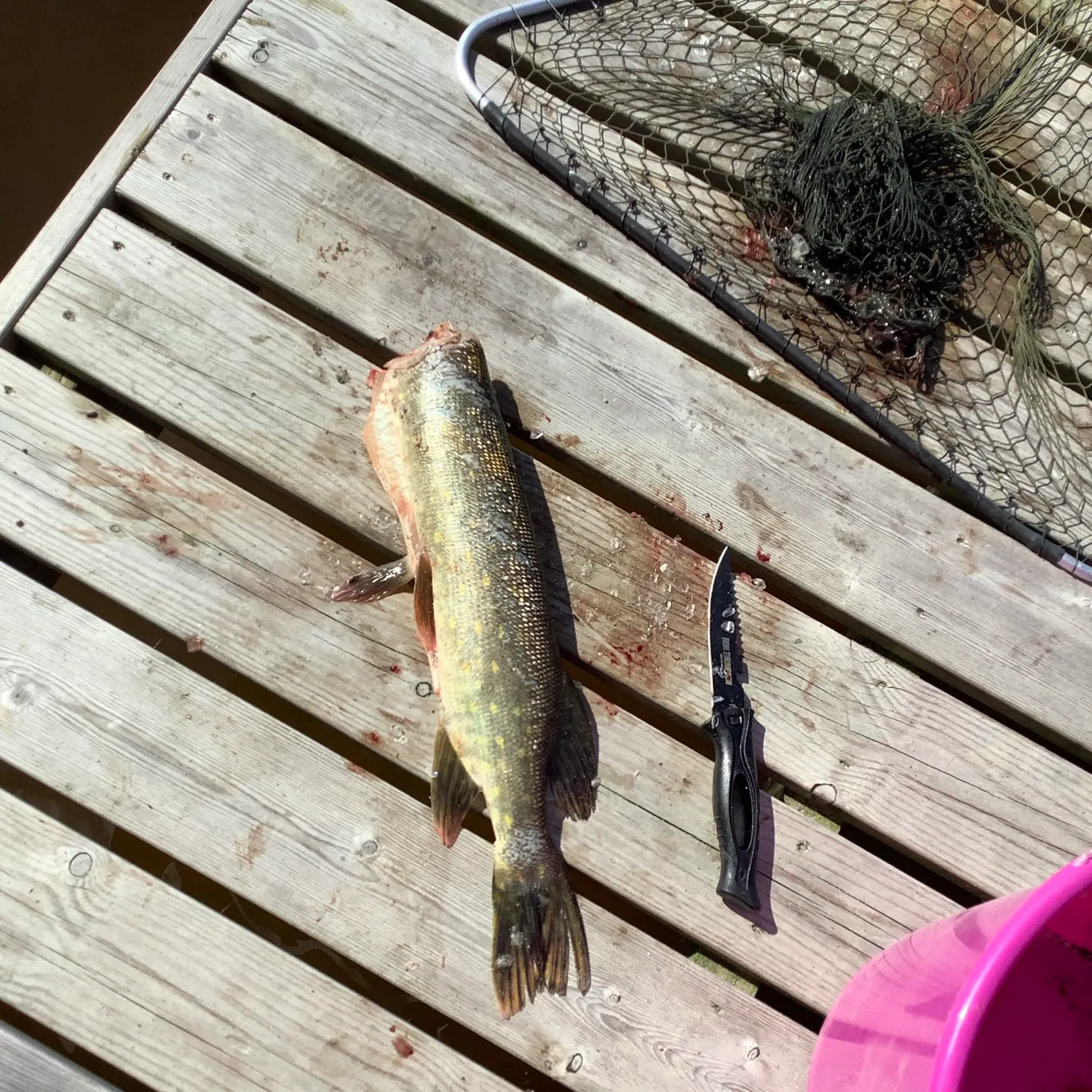 catch