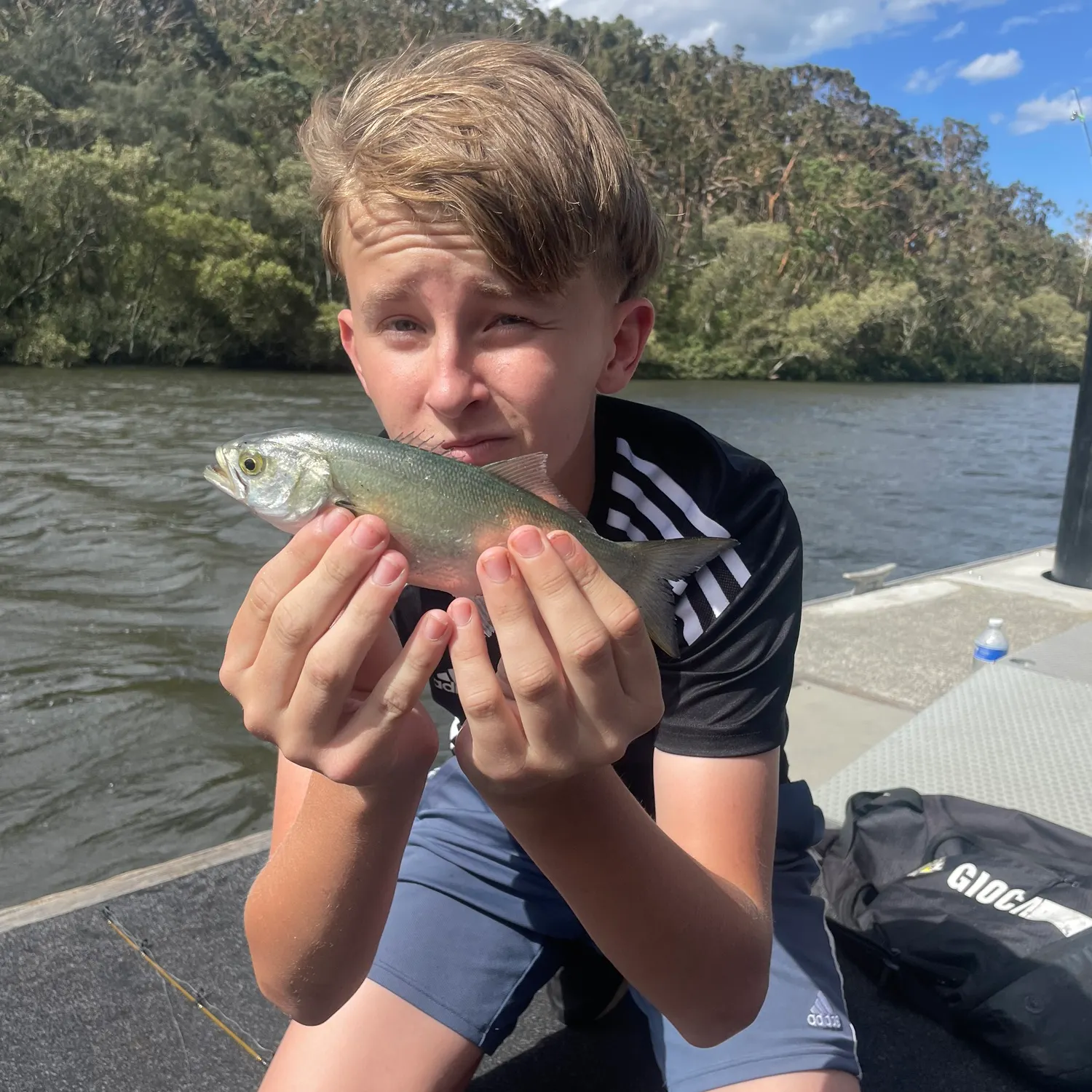 The most recent Yellow-eye mullet catches on Fishbrain